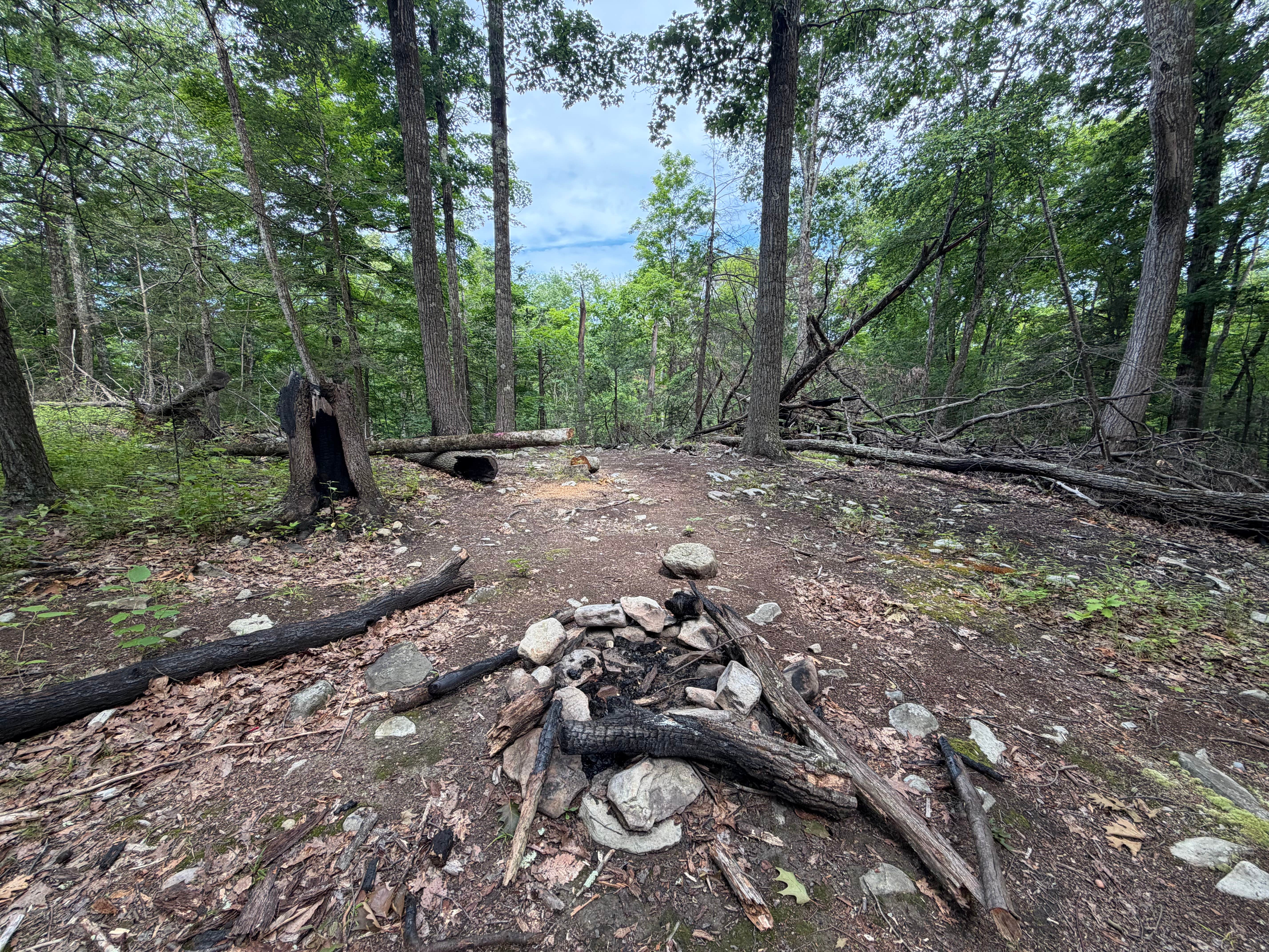 Camper-submitted photo at Hemlock Ridge MUA Dispersed near Cold Spring, NY
