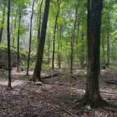 Review photo of Hemlock Ridge MUA Dispersed by Jance , June 25, 2026