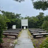 Review photo of Henderson Beach State Park Campground by Mimi N., June 17, 2024