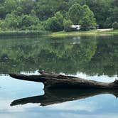 Review photo of Henderson County State Fish and Wildlife Area by Jeff F., June 27, 2025