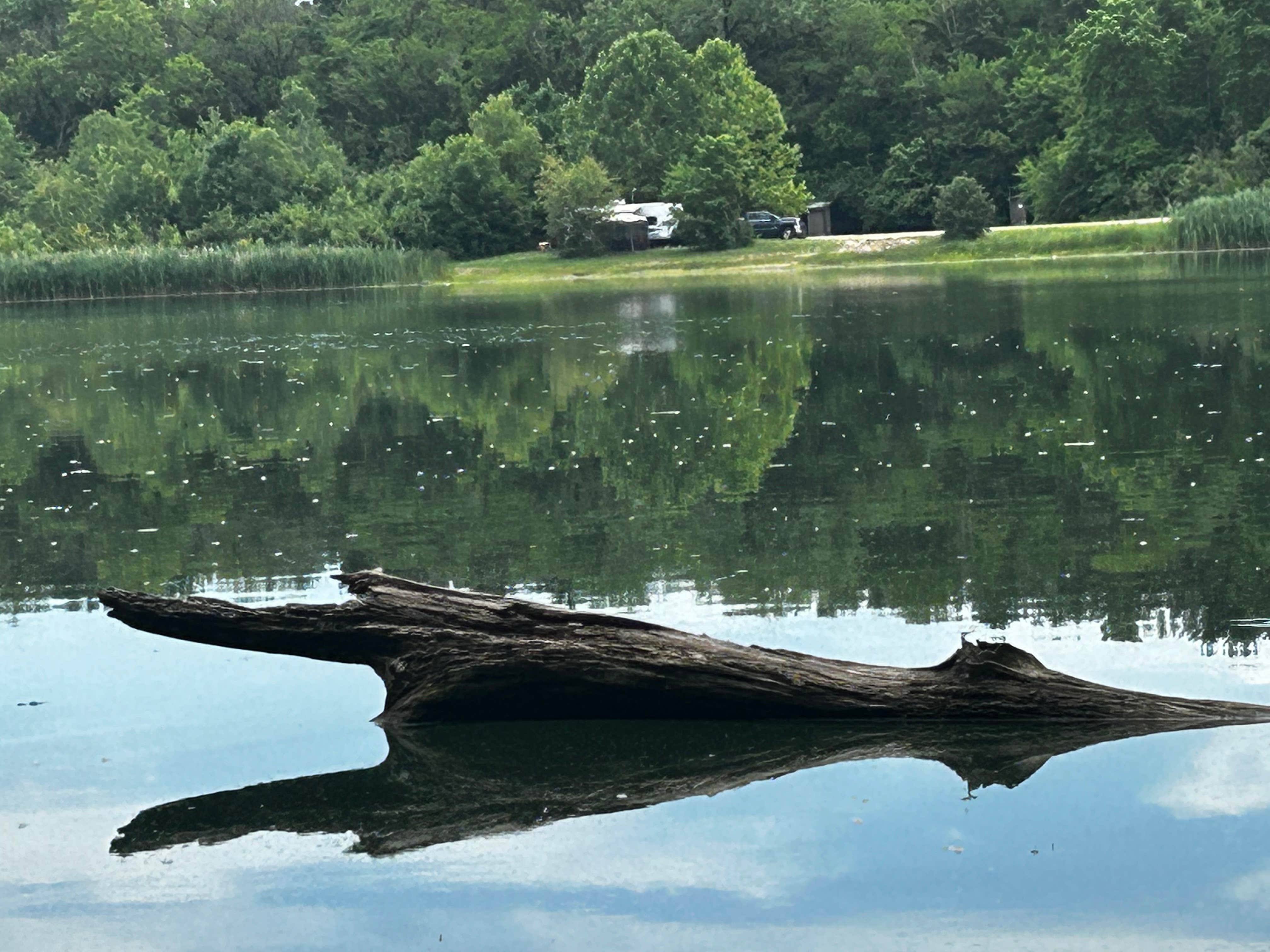 Camper submitted image from Henderson County State Fish and Wildlife Area - 1