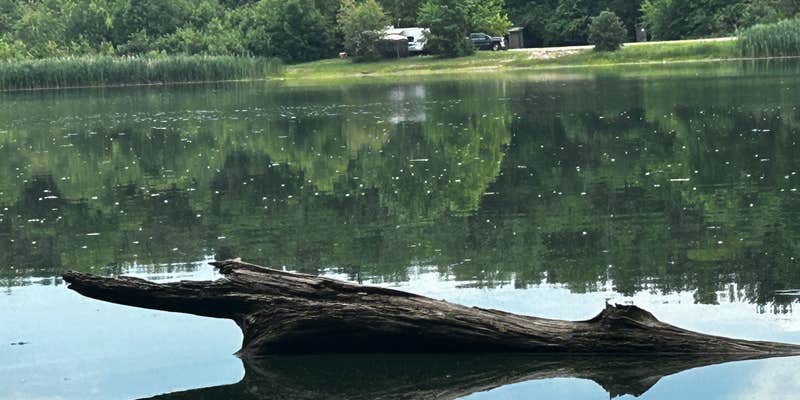 Camper submitted image from Henderson County State Fish and Wildlife Area