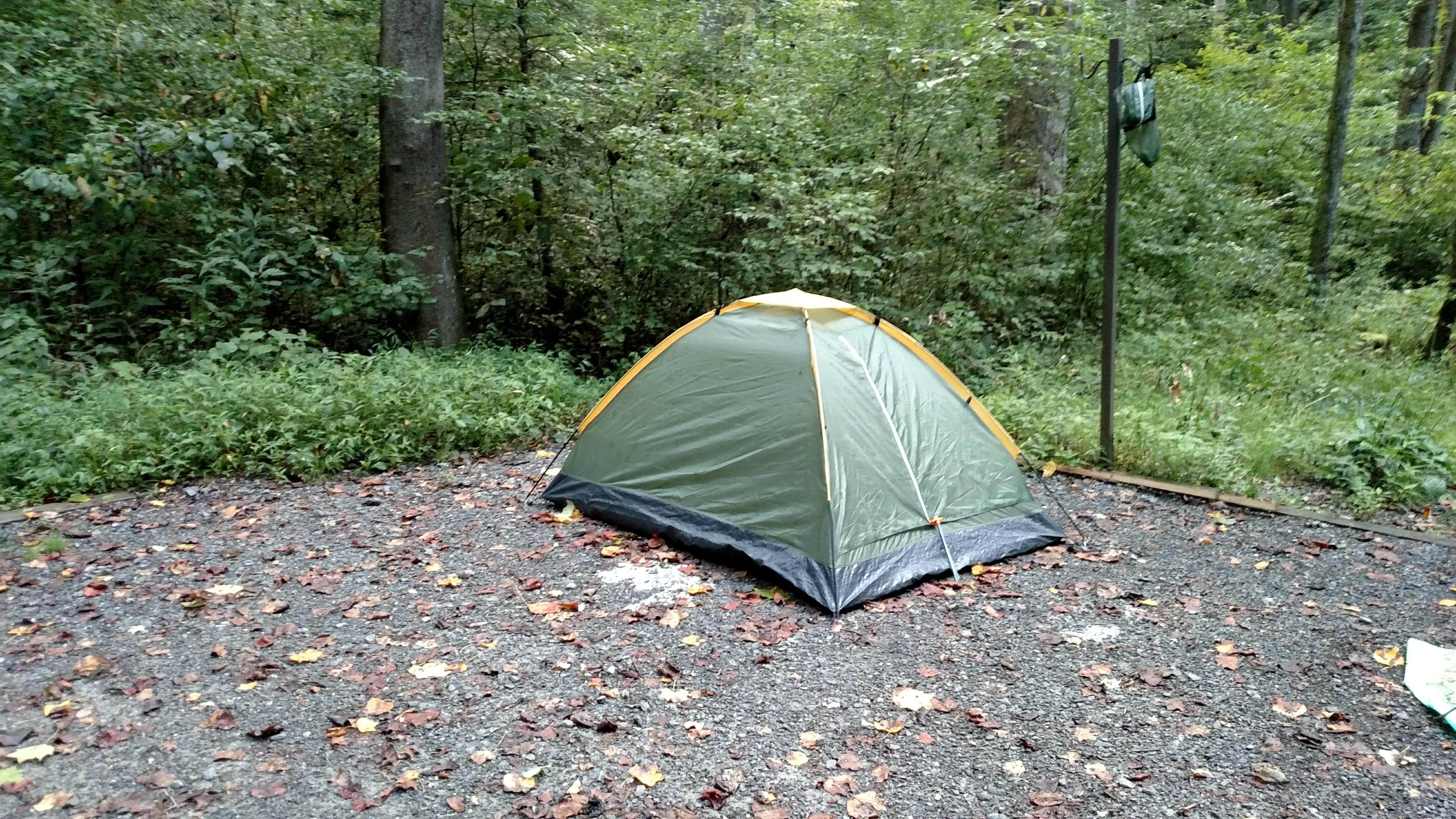 Betsy W.'s photo at Henderson Reservoir Dispersed Site #1 near Hendersonville, NC
