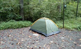 Betsy W.'s photo at Henderson Reservoir Dispersed Site #1 near Asheville, NC