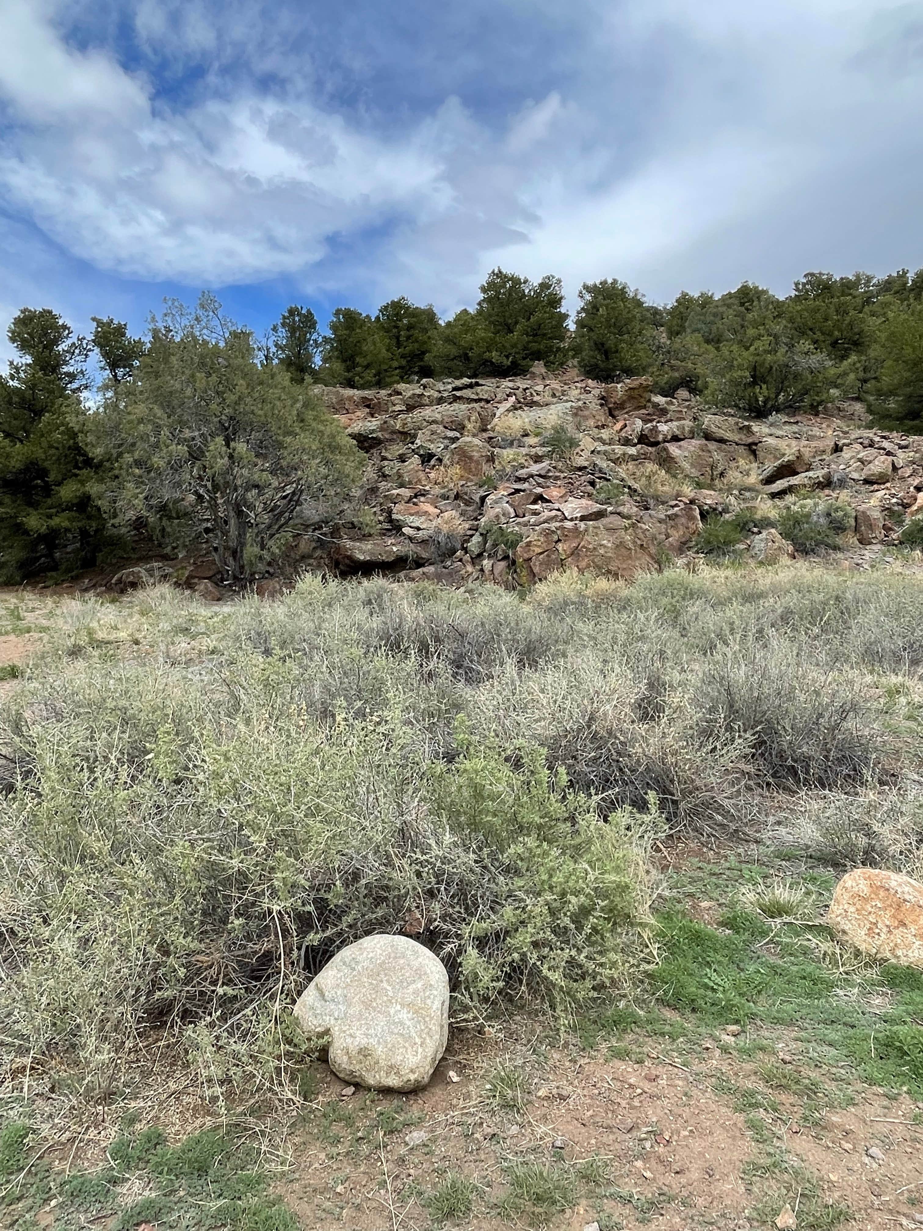 Camper-submitted photo at Hendricks Flat near Poncha Springs, CO