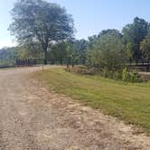 Review photo of Hennepin Canal Lock 11 by Sue B., April 7, 2026