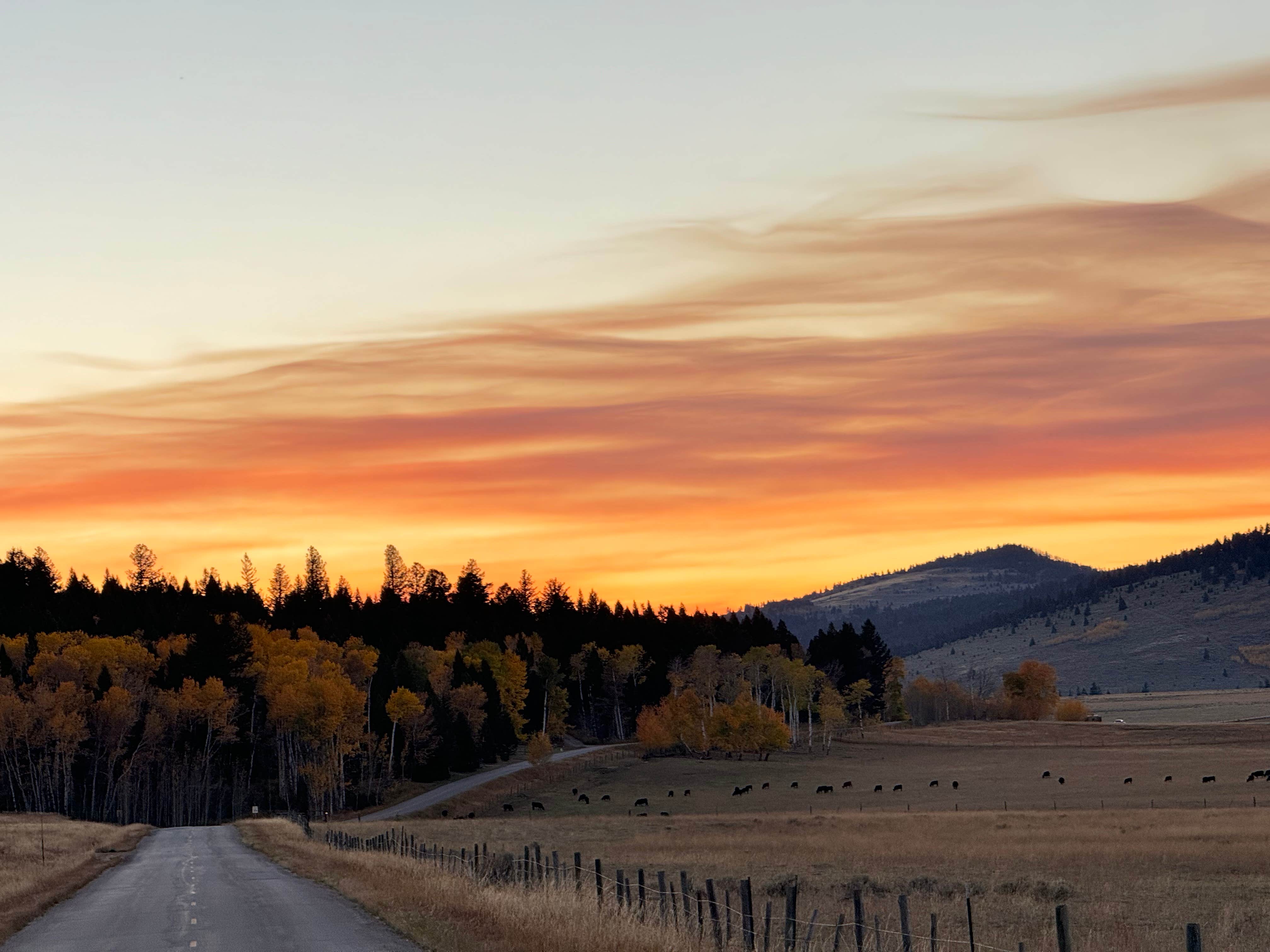 LaChelle B.'s photo of a dispersed camping area at Henry Flats Dispersed Spot near Island Park, ID