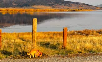 LaChelle B.'s photo of camping with pets at Henry Flats Dispersed Spot near Island Park, ID