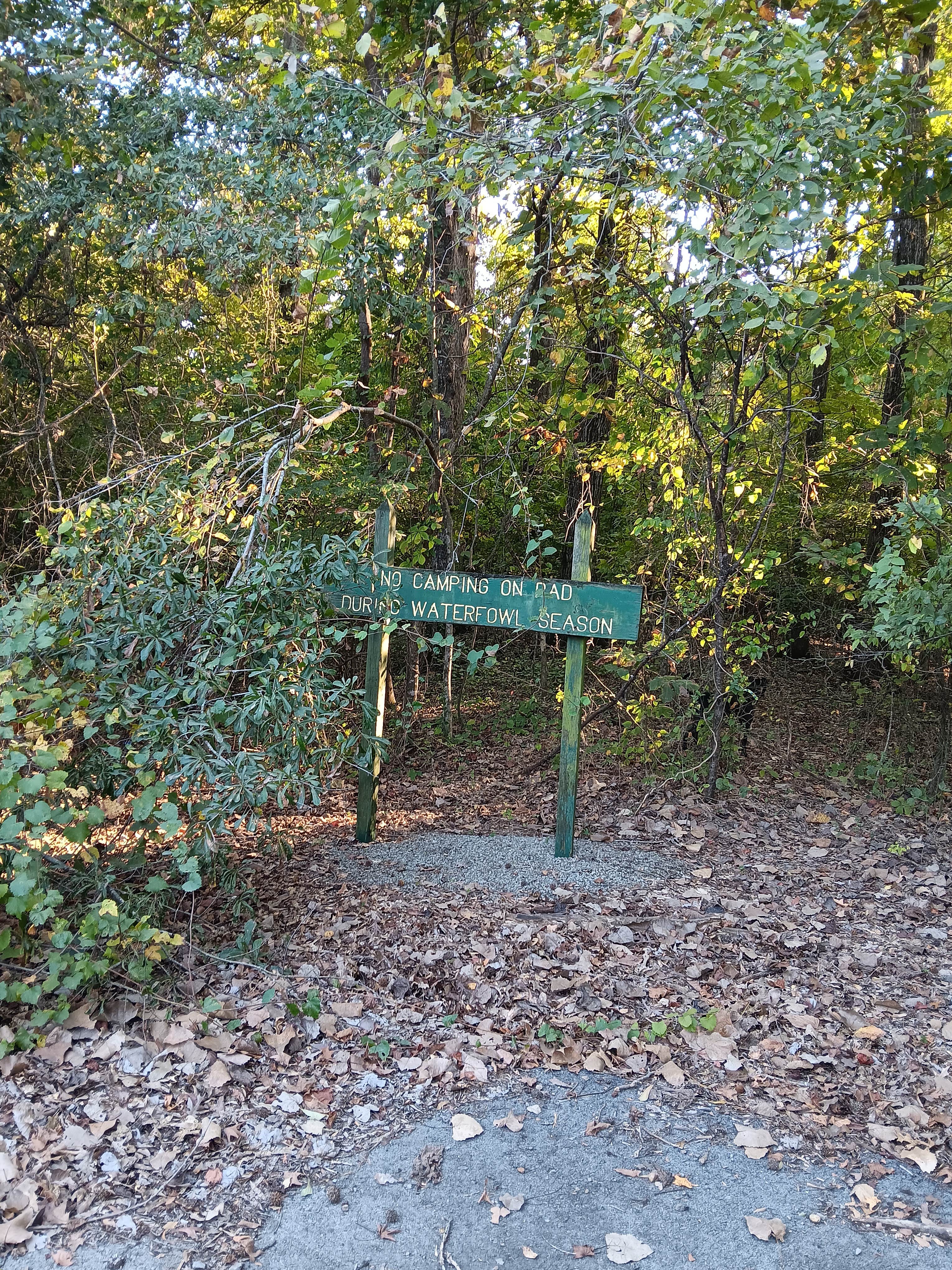 Camper-submitted photo at Henry Gray Hurricane Lake Wildlife Management Area near Cabot, AR