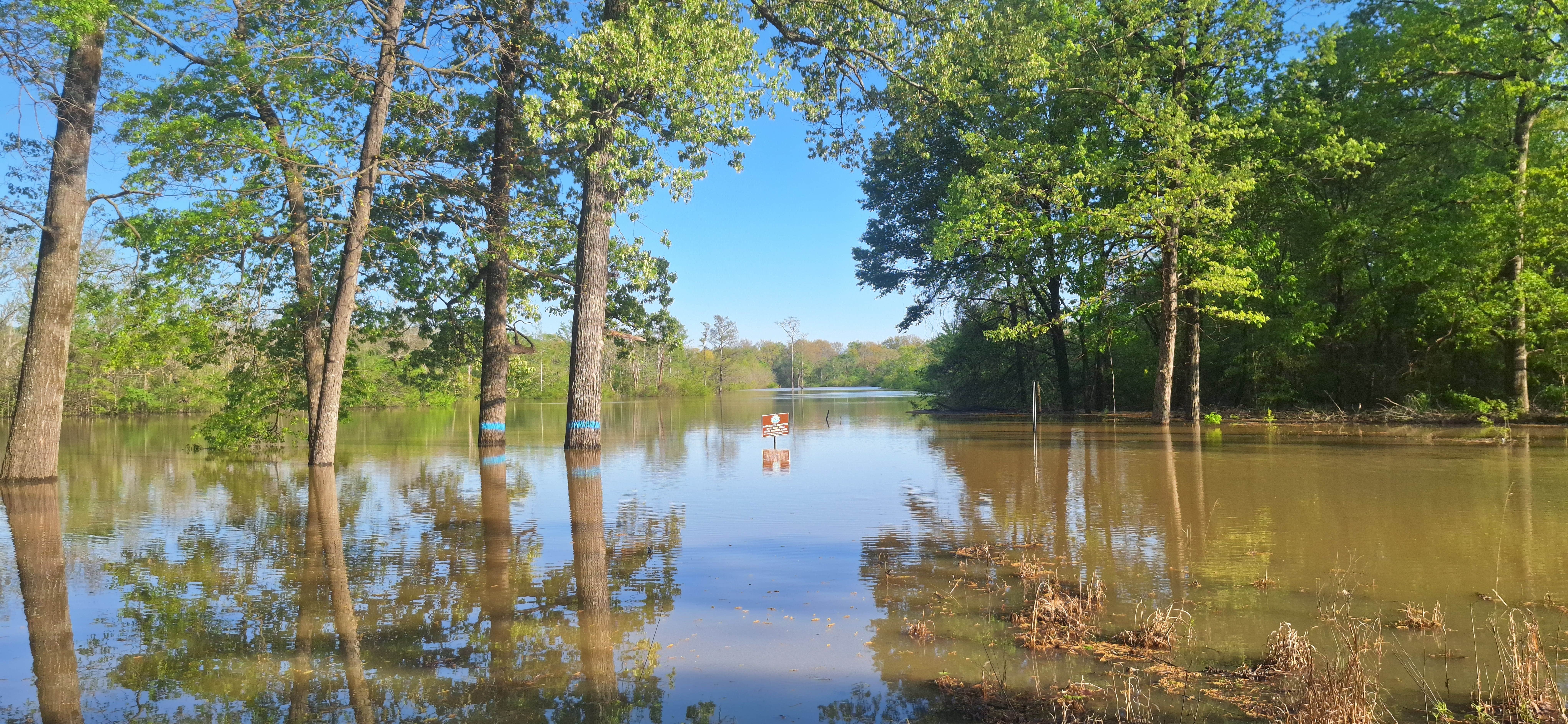 Steve R.'s photo of a dispersed camping area at Henry Gray Hurricane Lake Wildlife Management Area near Cabot, AR