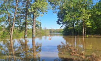 Steve R.'s photo of a dispersed camping area at Henry Gray Hurricane Lake Wildlife Management Area in Arkansas