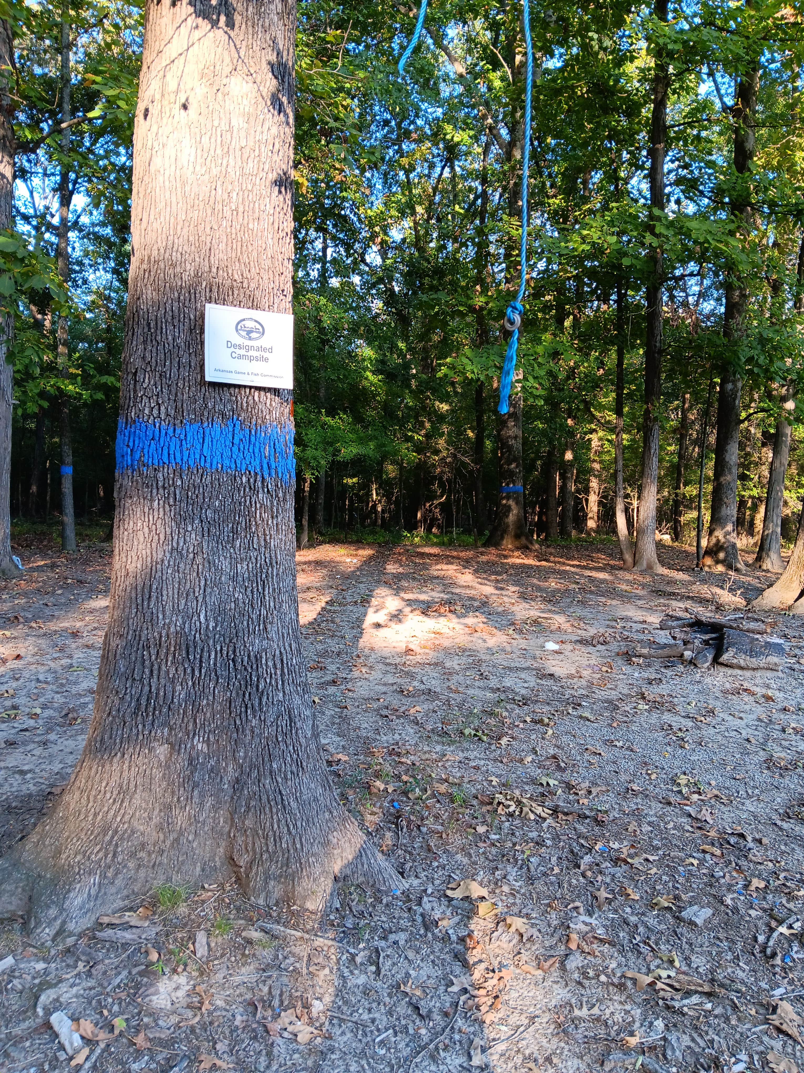 Camping near South Webb Lake Camp: Henry Gray Hurricane Lake Wildlife Management Area, Searcy, Arkansas