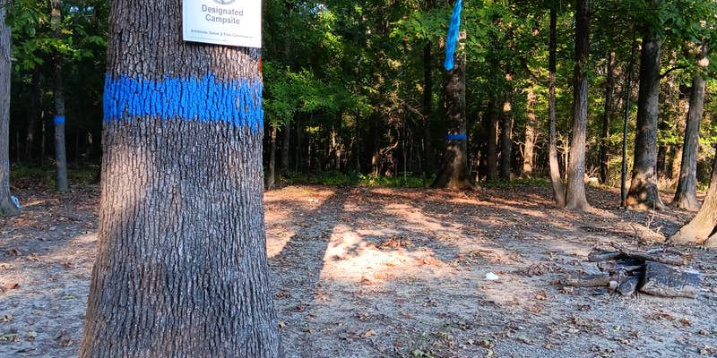 Camper submitted image from Henry Gray Hurricane Lake Wildlife Management Area