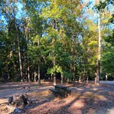 Review photo of Henry Gray Hurricane Lake Wildlife Management Area by Alice S., October 11, 2024