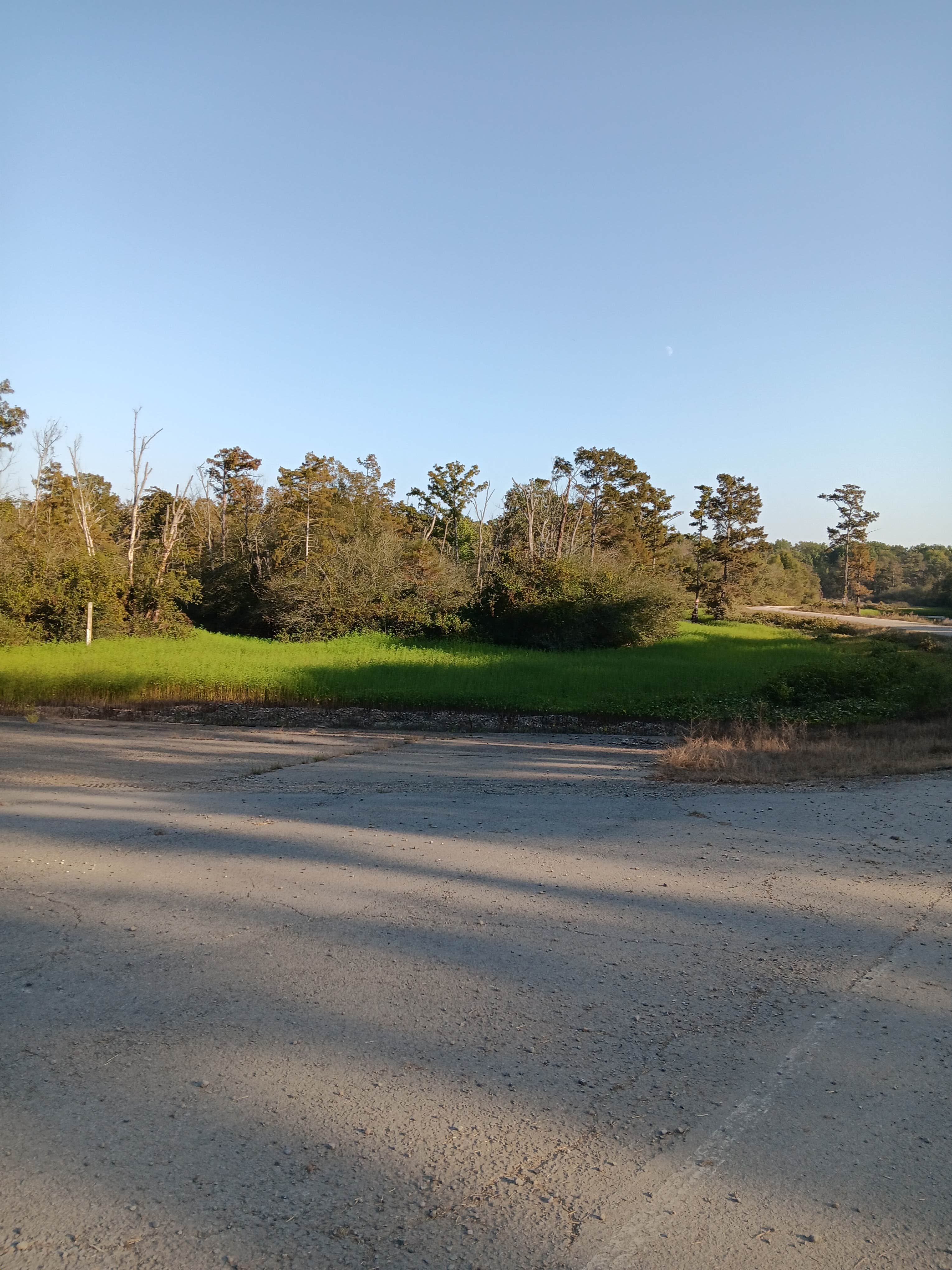 Camper-submitted photo at Henry Gray Hurricane Lake Wildlife Management Area near Searcy, AR