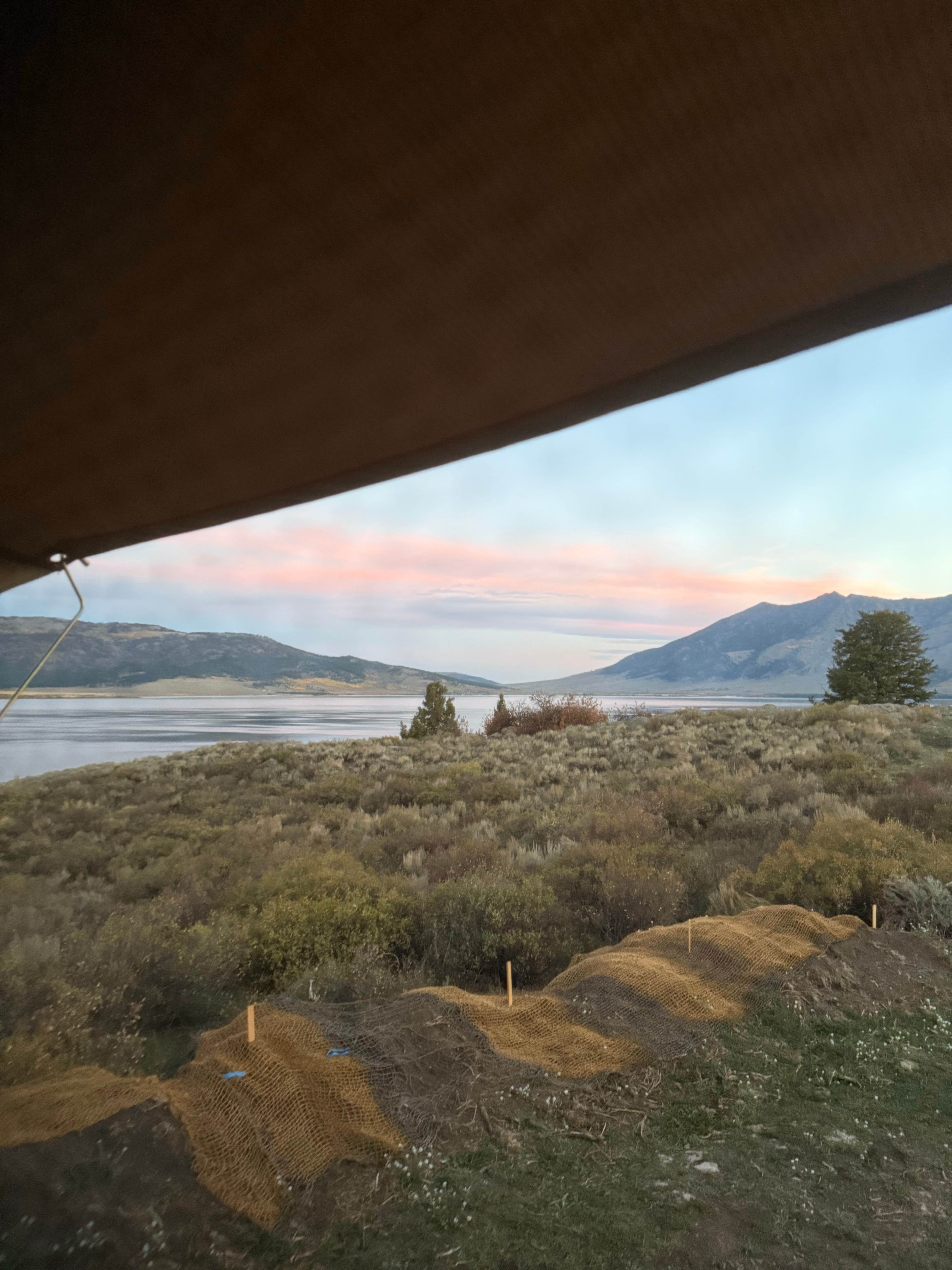 Camper submitted image from Henry Lake Dispersed Camping - 2