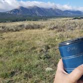 Review photo of Henry Lake Dispersed Camping by Sue B., January 12, 2026