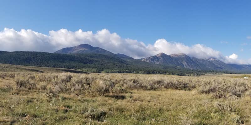 Camper submitted image from Henry Lake Dispersed Camping