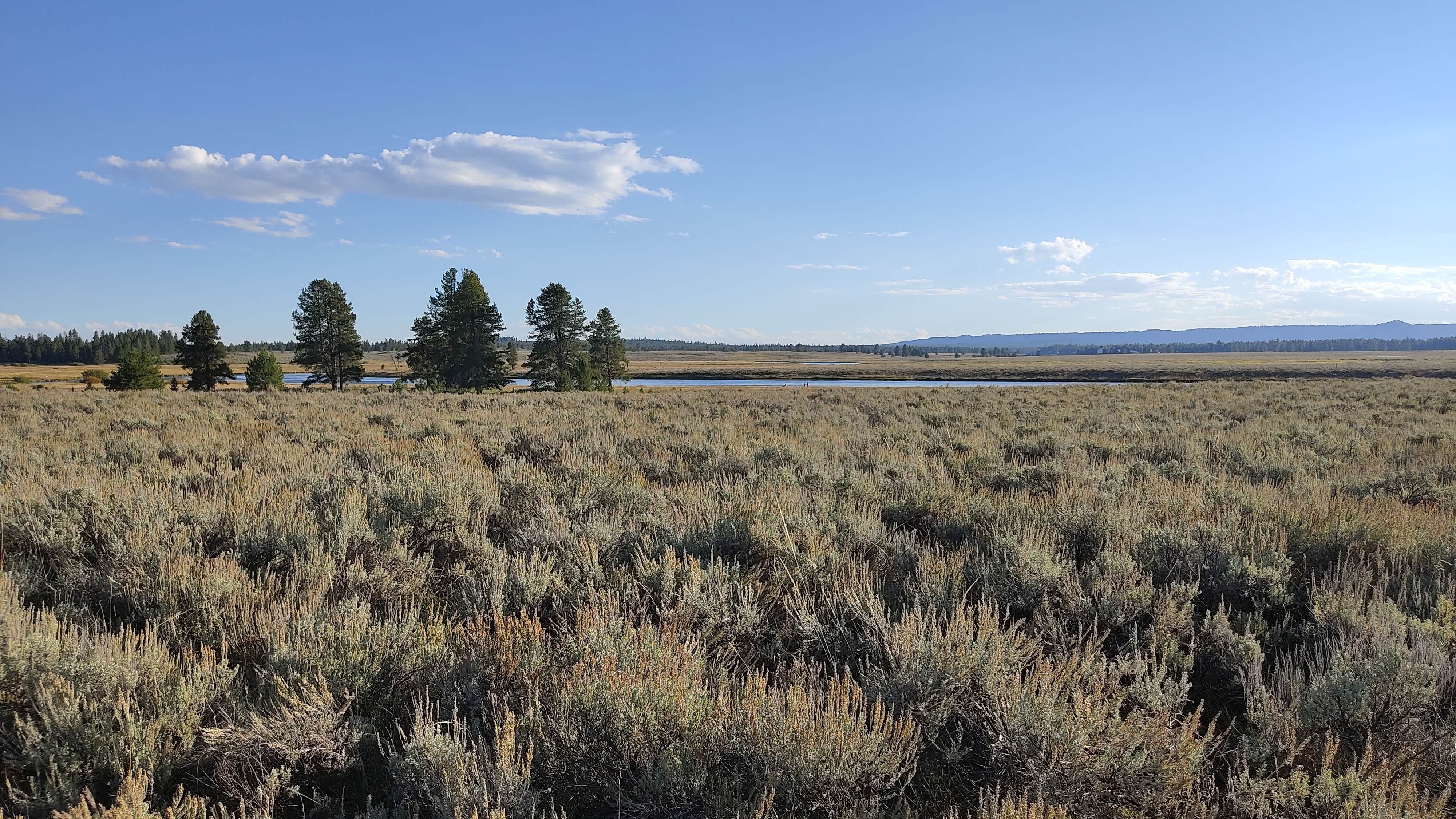 Camping near Grand View Campground (Targhee NF): Henry's Fork Rivercamp, Macks Inn, Idaho