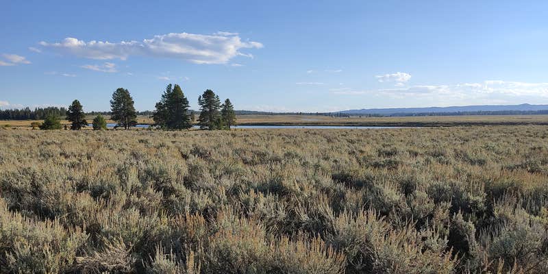 Camper submitted image from Henry's Fork Rivercamp