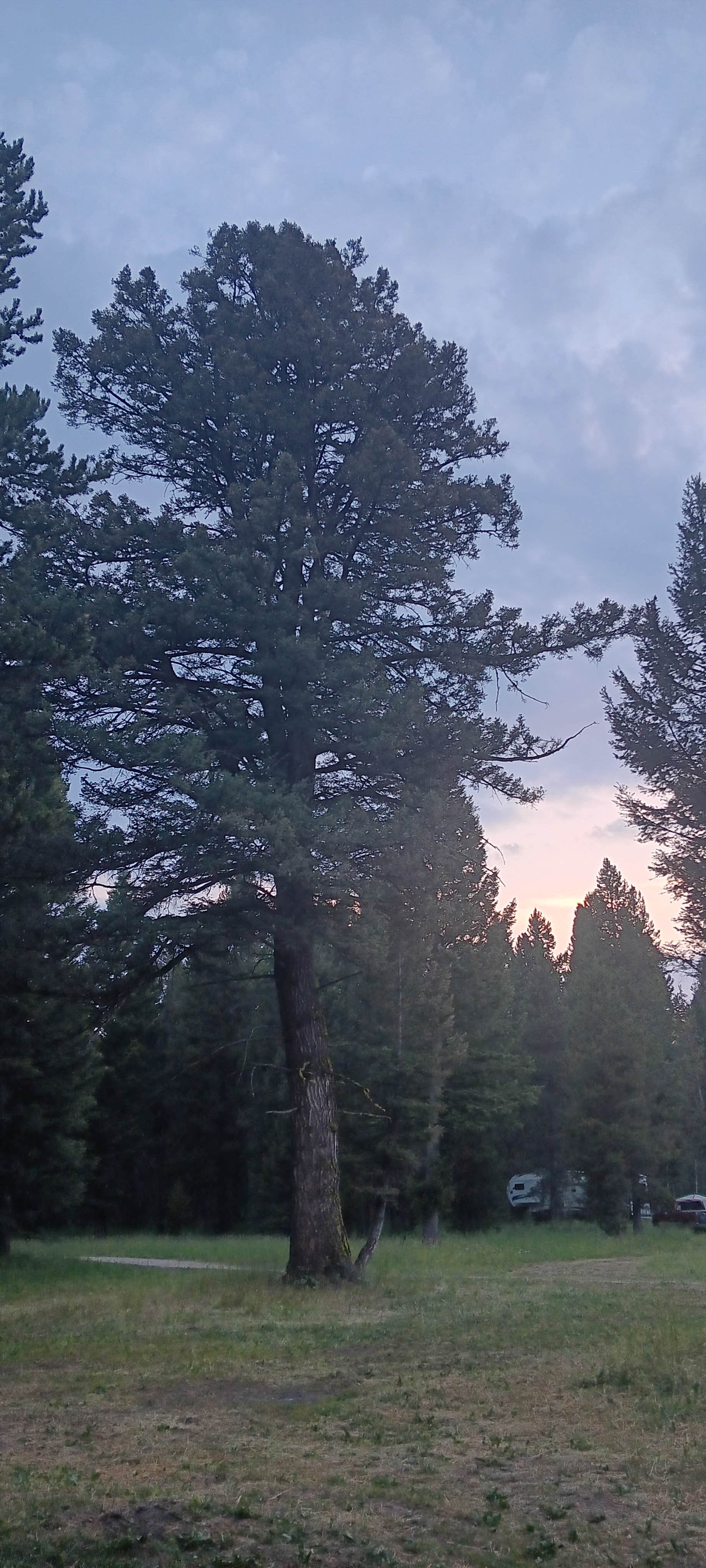 Camper-submitted photo at Henry's Lake BLM Dispersed near Island Park, ID