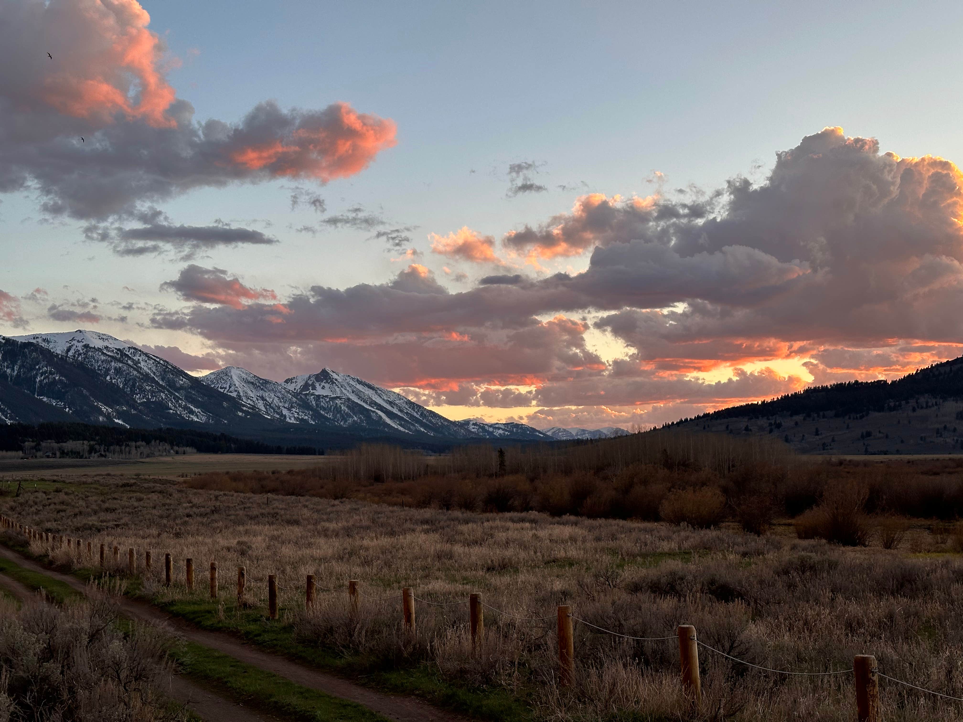 Claire G.'s photo of a dispersed camping area at Henry's Lake Boat Ramp near Island Park, ID