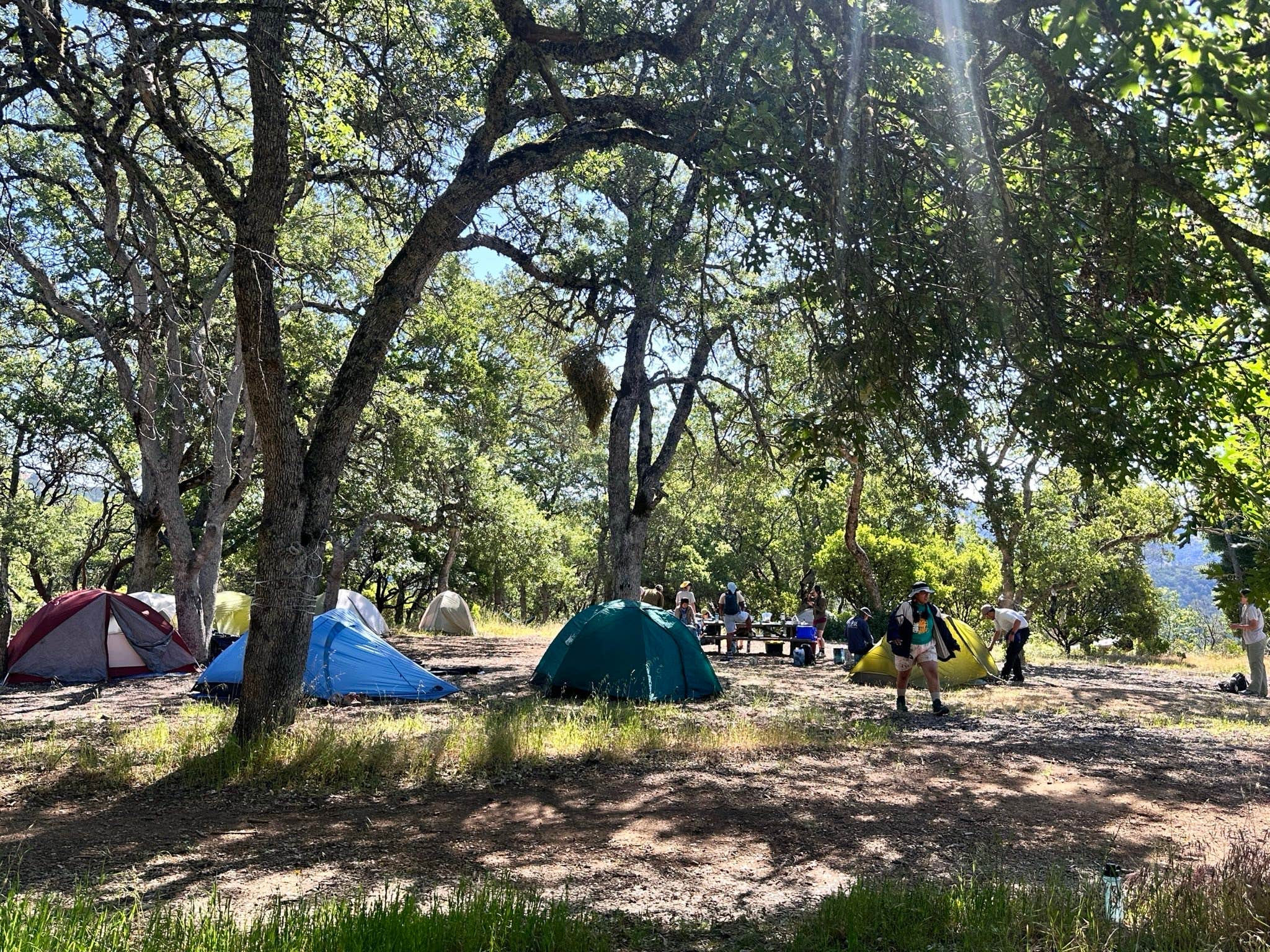 gisselle's photo at Coe Ranch Campground — Henry W. Coe State Park near San Martin, CA