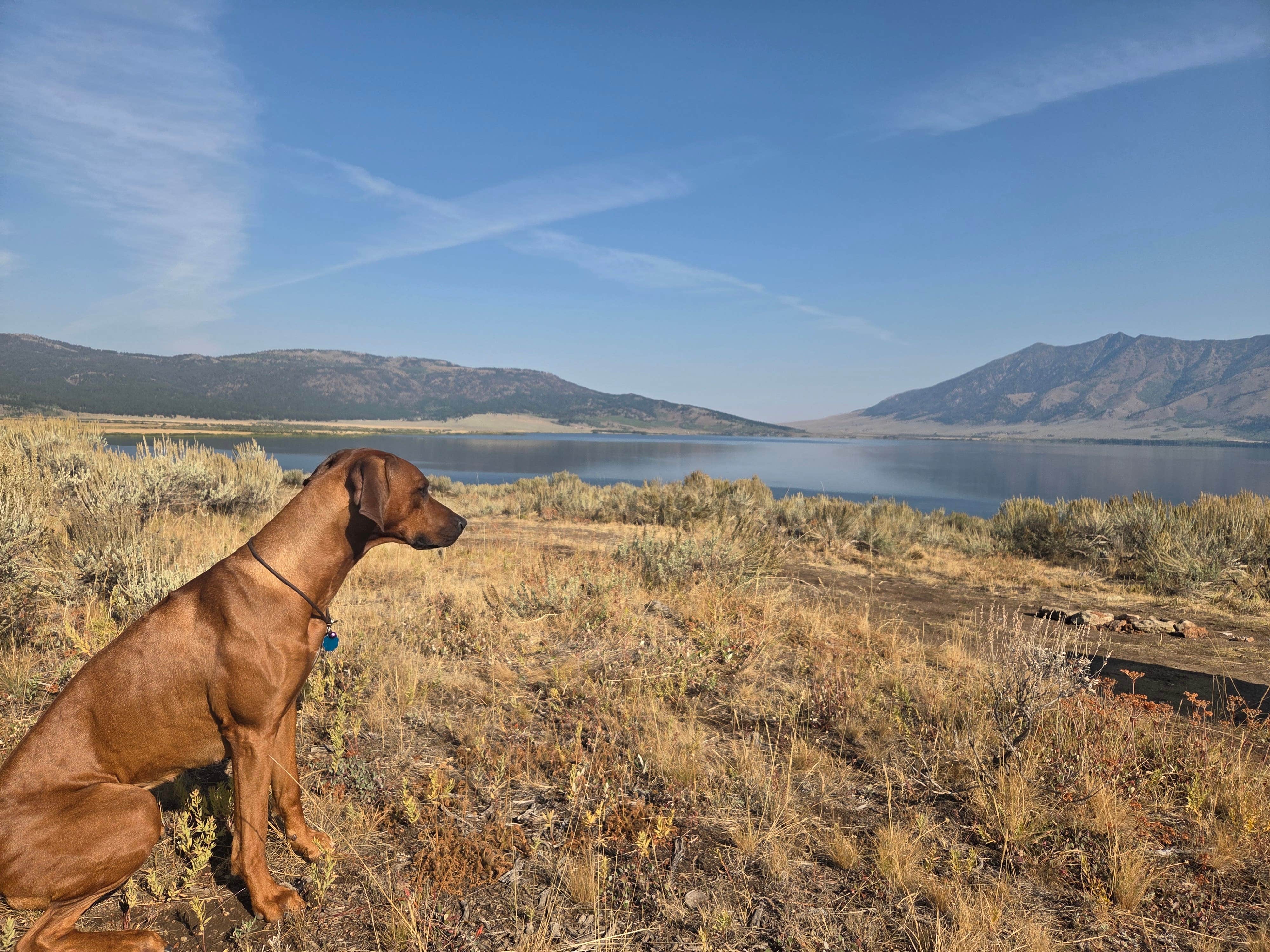 Camper submitted image from Henrys Lake Boat Access - 5