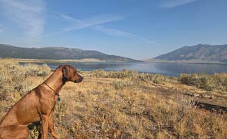 Mellissa M.'s photo of camping with pets at Henrys Lake Boat Access near Island Park, ID