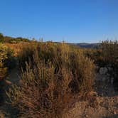 Review photo of Henshaw Scenic Vista by Olive L., August 12, 2025