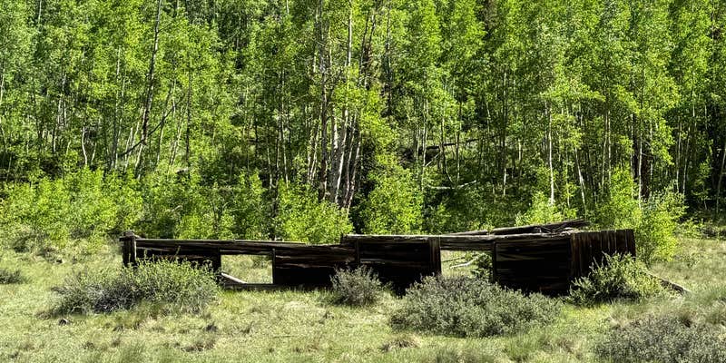 Camper submitted image from Henson Creek RV Park