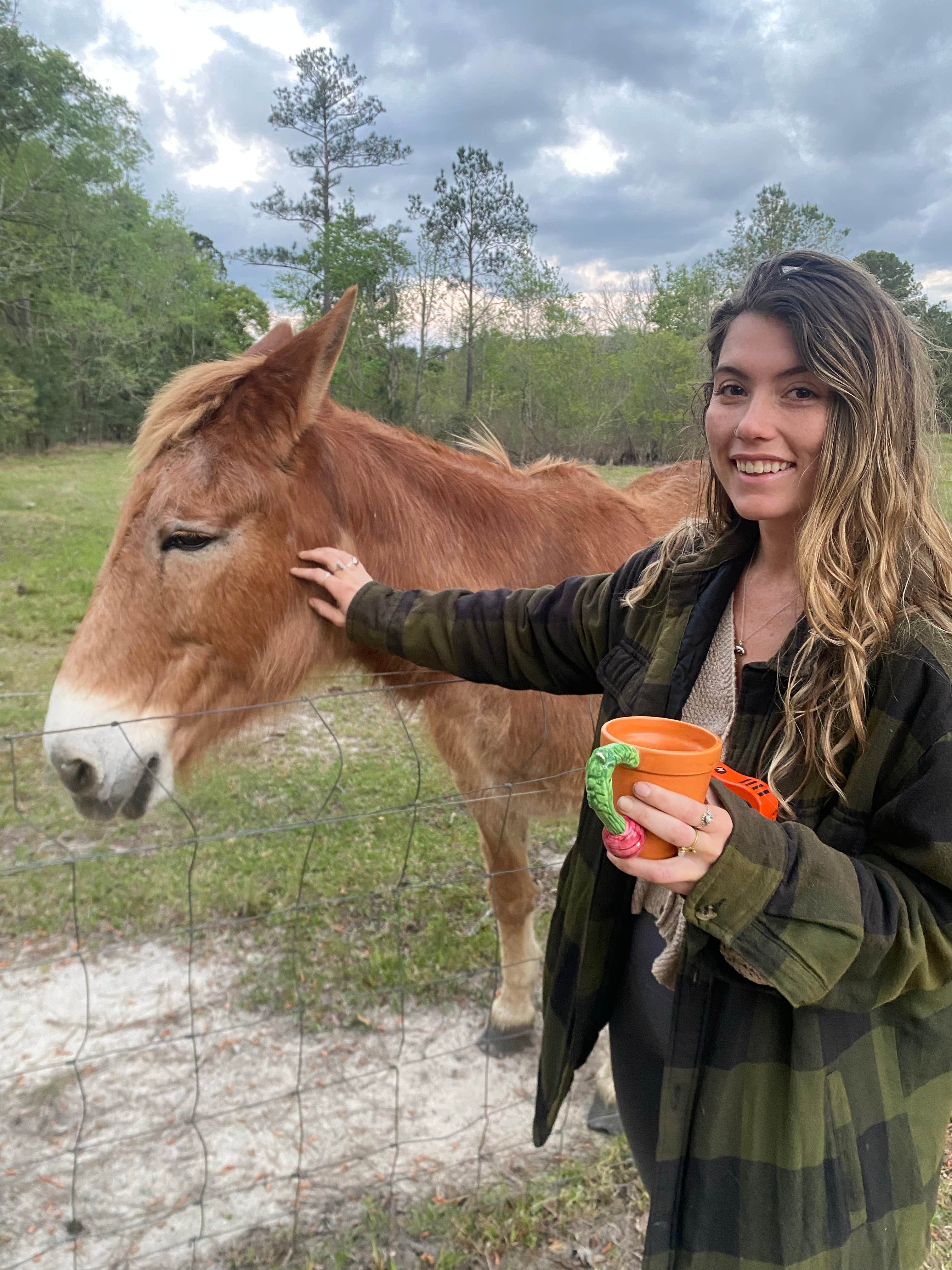 Camper-submitted photo at Herd it Here Farm near Walterboro, SC