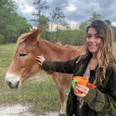 Review photo of Herd it Here Farm by amanda F., March 28, 2026