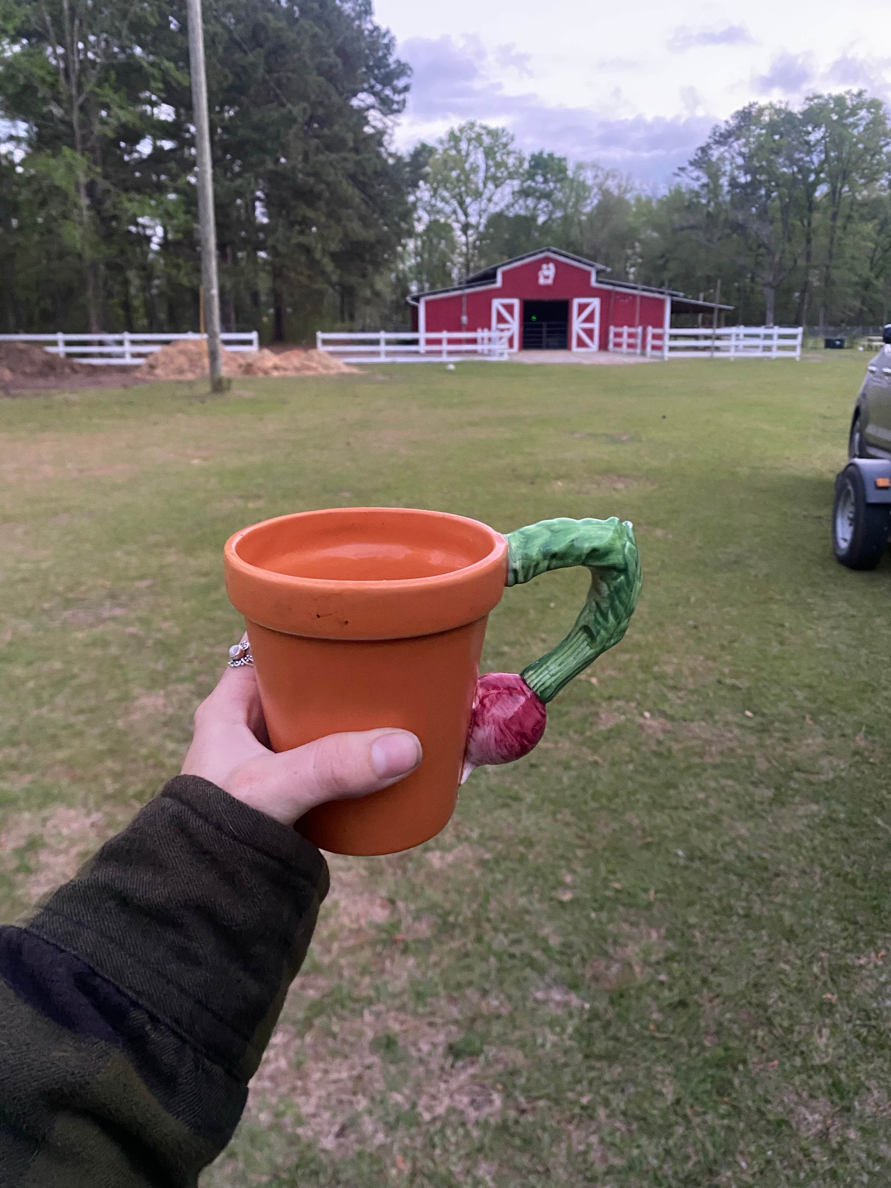 Camper-submitted photo at Herd it Here Farm near Walterboro, SC