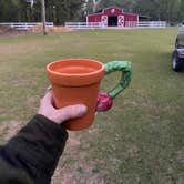 Review photo of Herd it Here Farm by amanda F., March 28, 2026