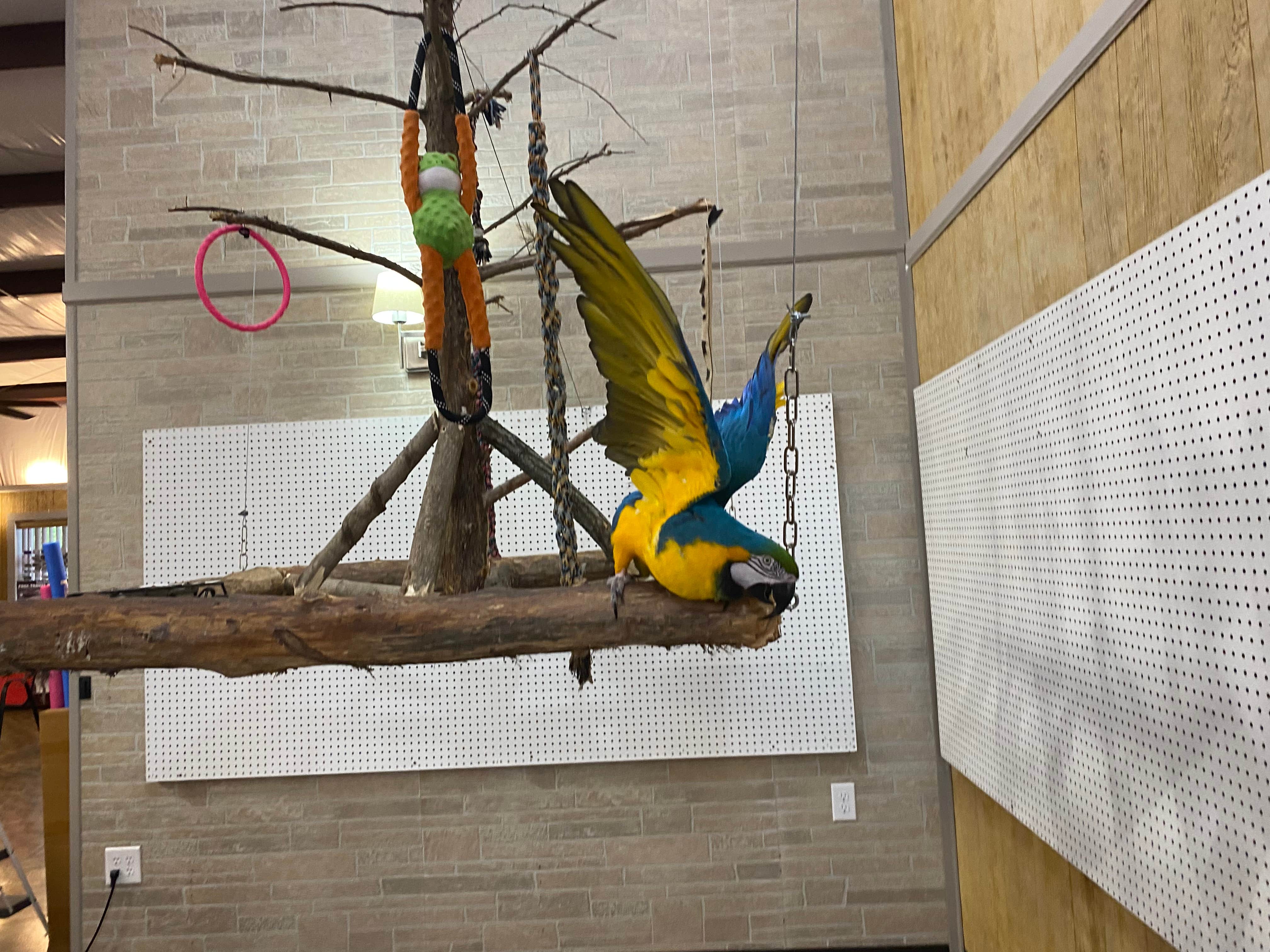 Camper-submitted photo at Heritage Acres RV Park near Fulton, MS