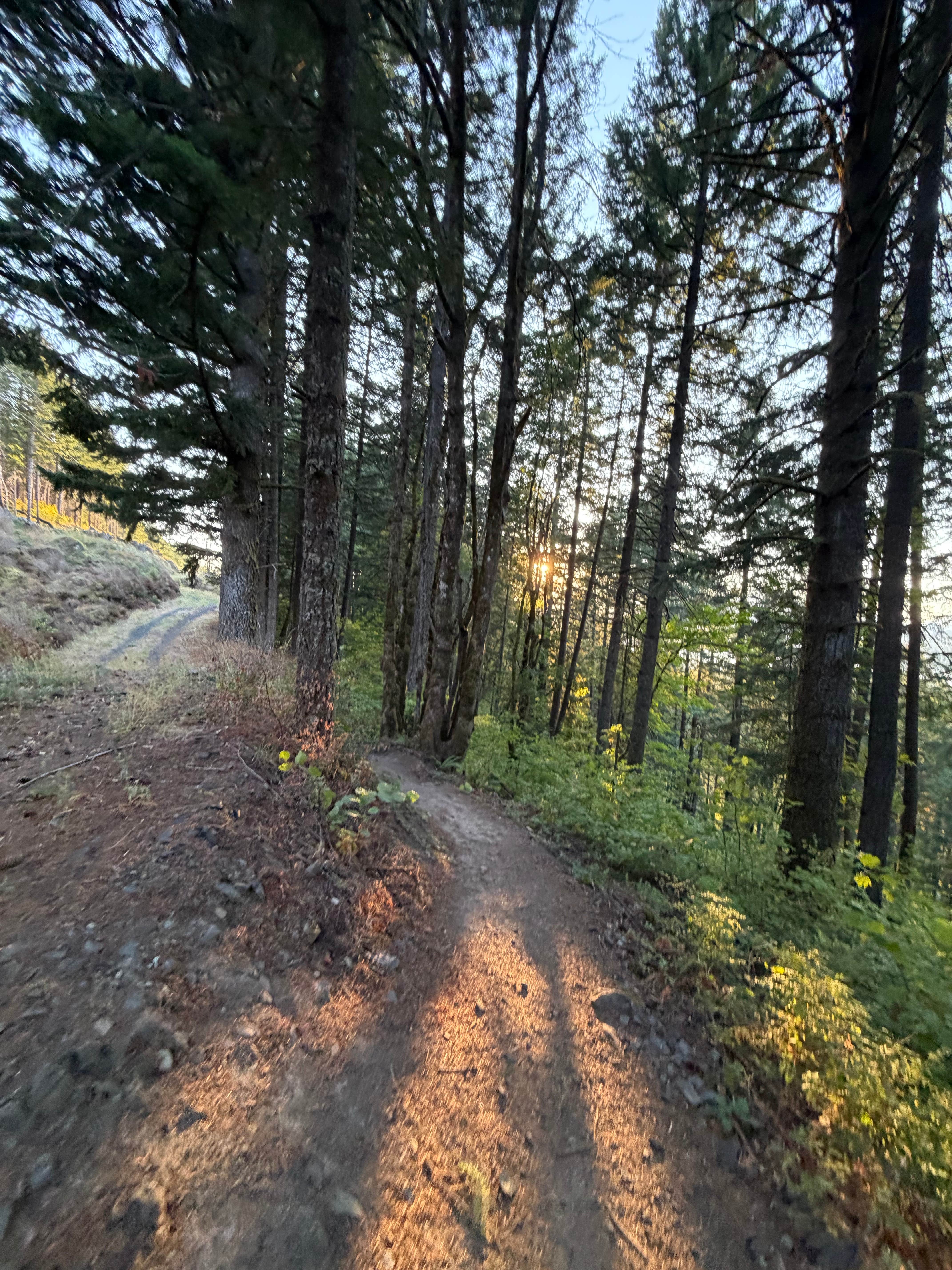 Herman creek trailhead