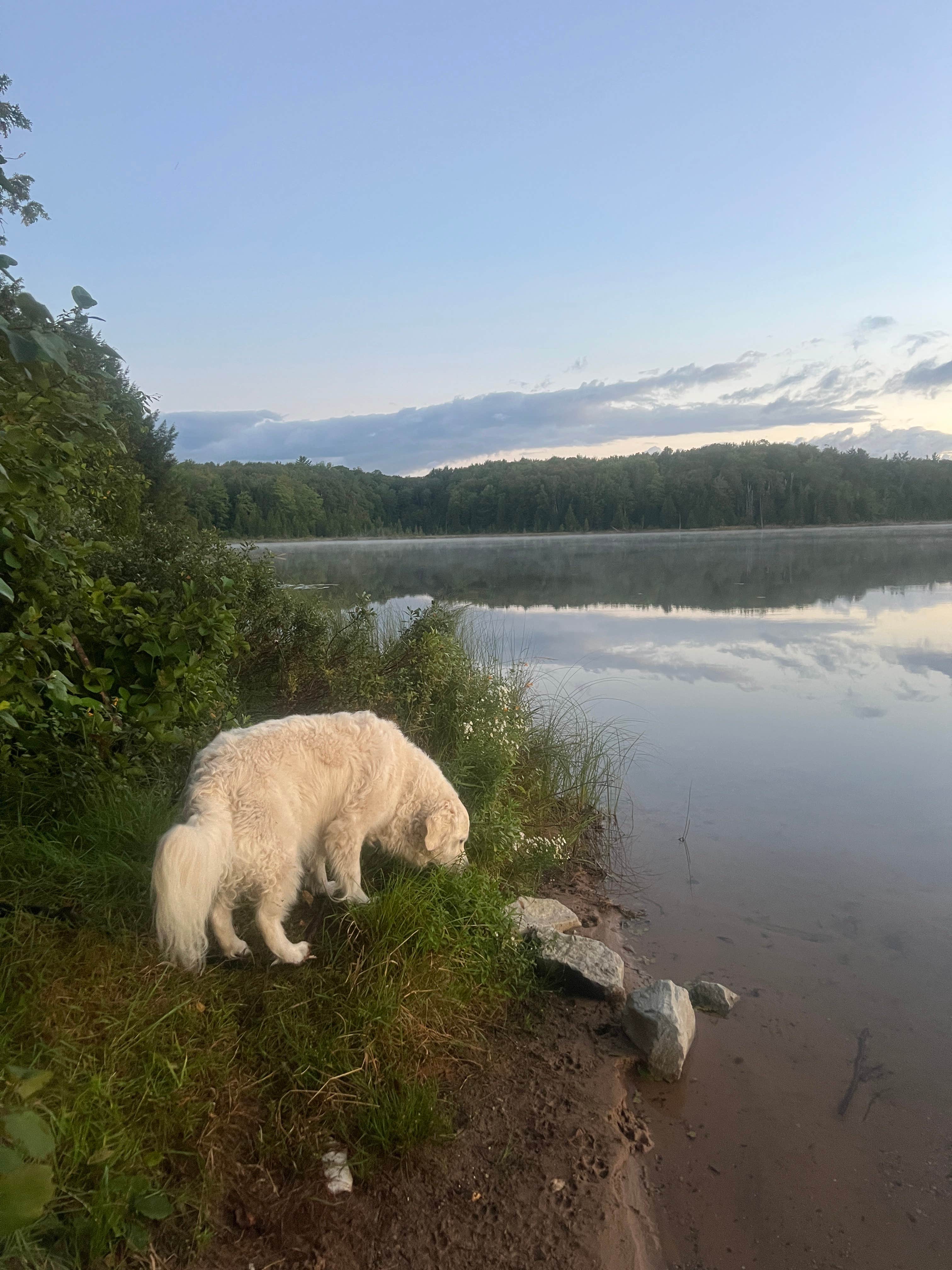Camper-submitted photo at Herman Lake Dispersed near Manistique, MI