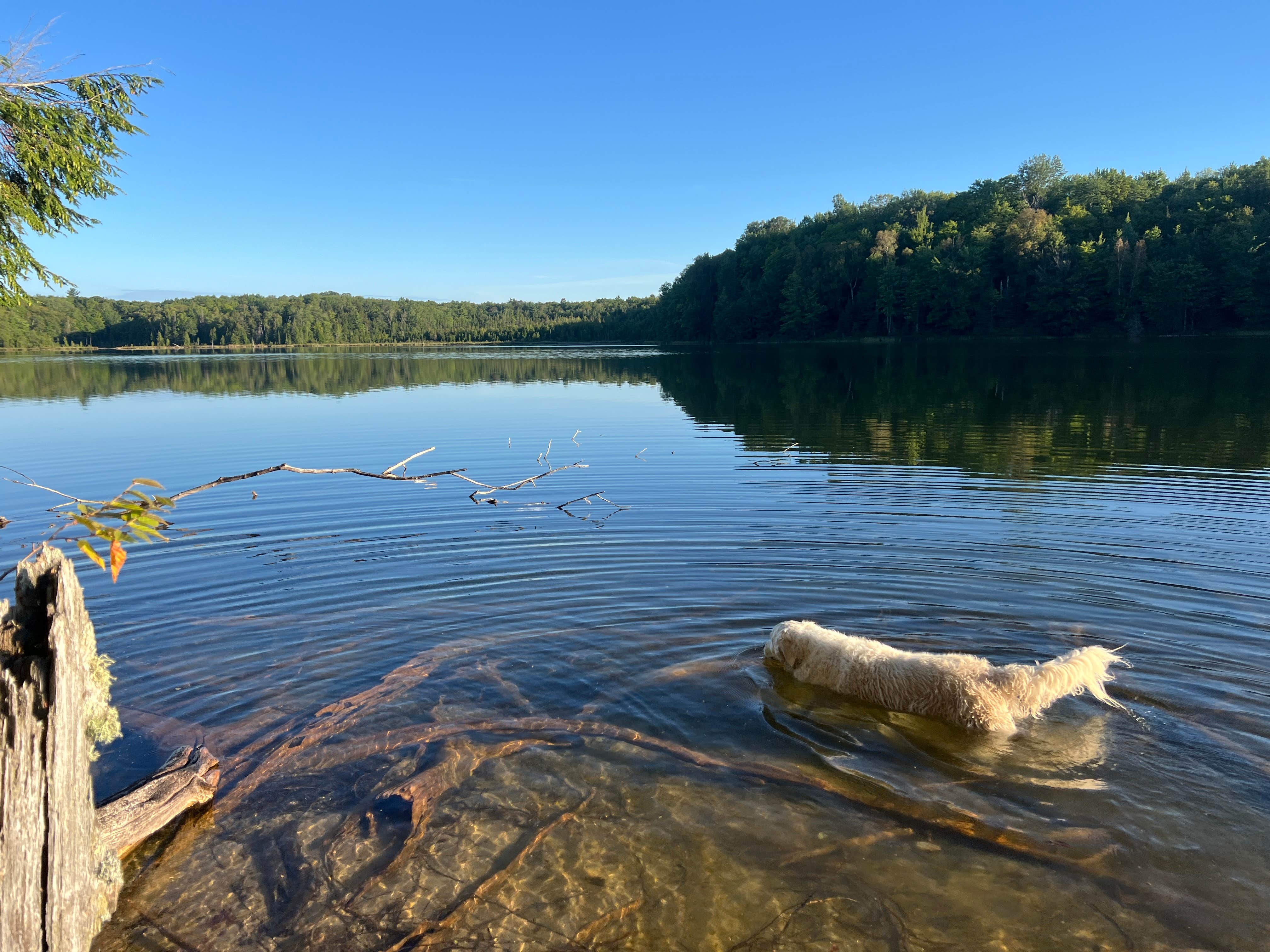 Camper-submitted photo at Herman Lake Dispersed near Manistique, MI
