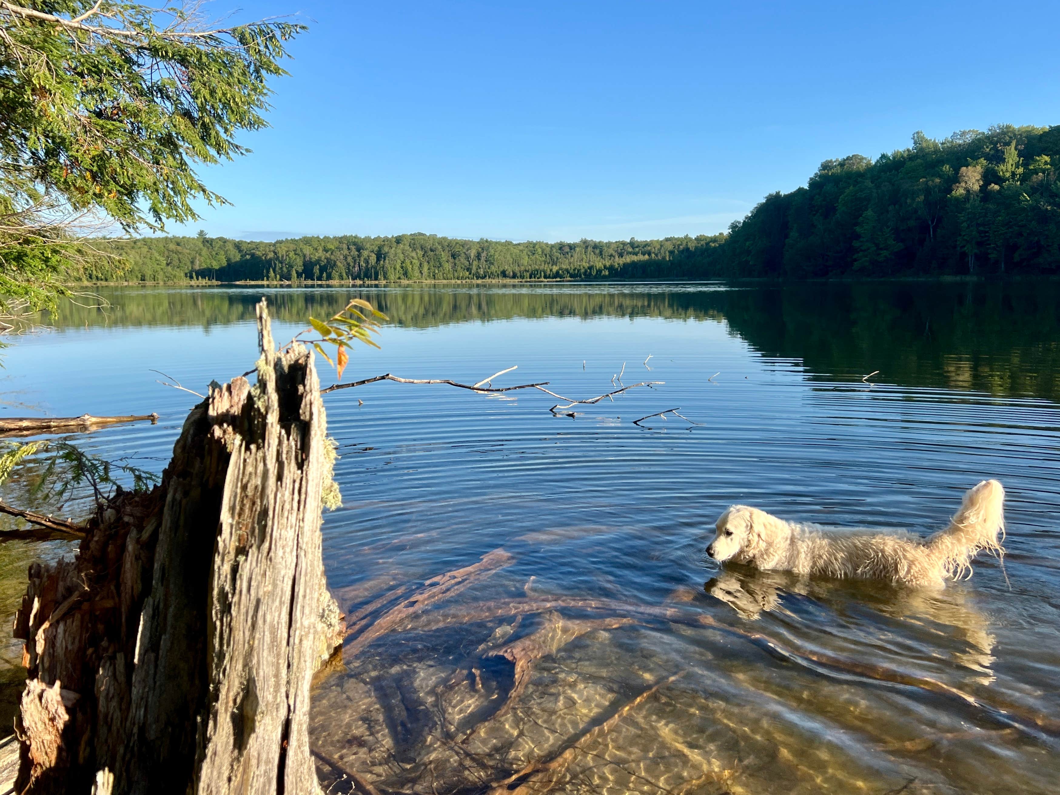 Camping near Peninsula Point Lighthouse Access Road - Dispersed: Herman Lake Dispersed, Wetmore, Michigan