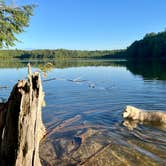 Review photo of Herman Lake Dispersed by Colleen P., September 13, 2026