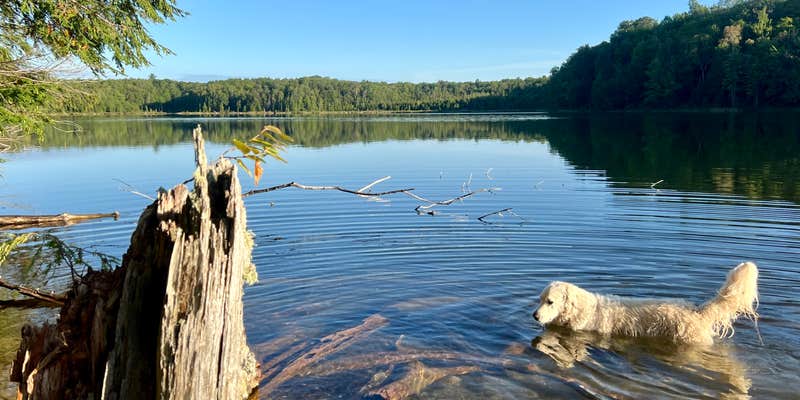 Camper submitted image from Herman Lake Dispersed