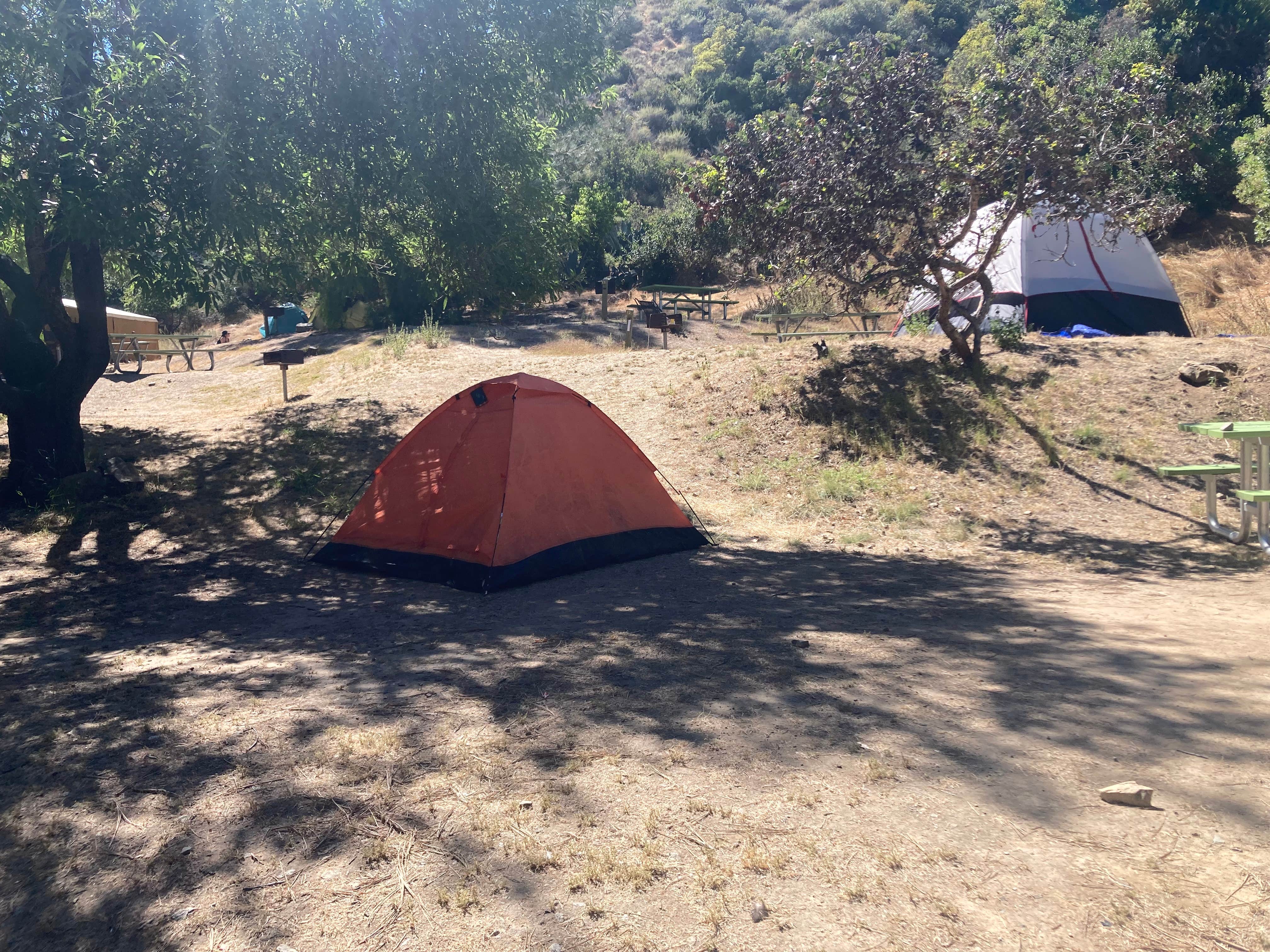 Kaitlyn B.'s photo of tent camping at Hermit Gulch Campground near Sunset Beach, CA
