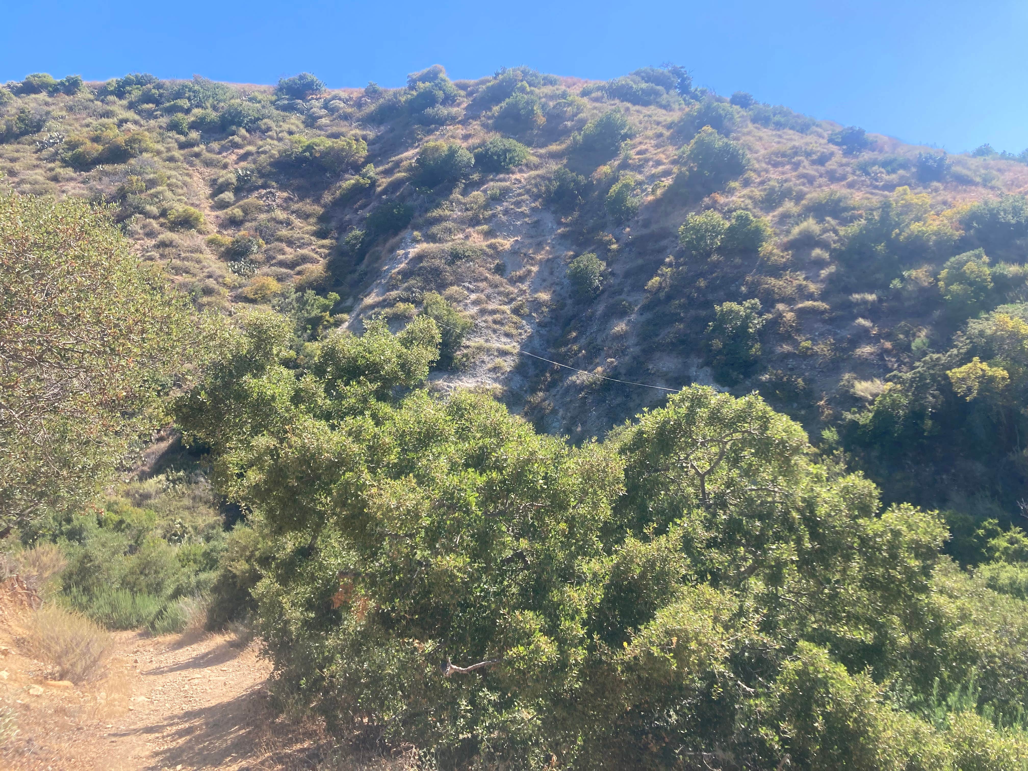 Camper-submitted photo at Hermit Gulch Campground near Sunset Beach, CA