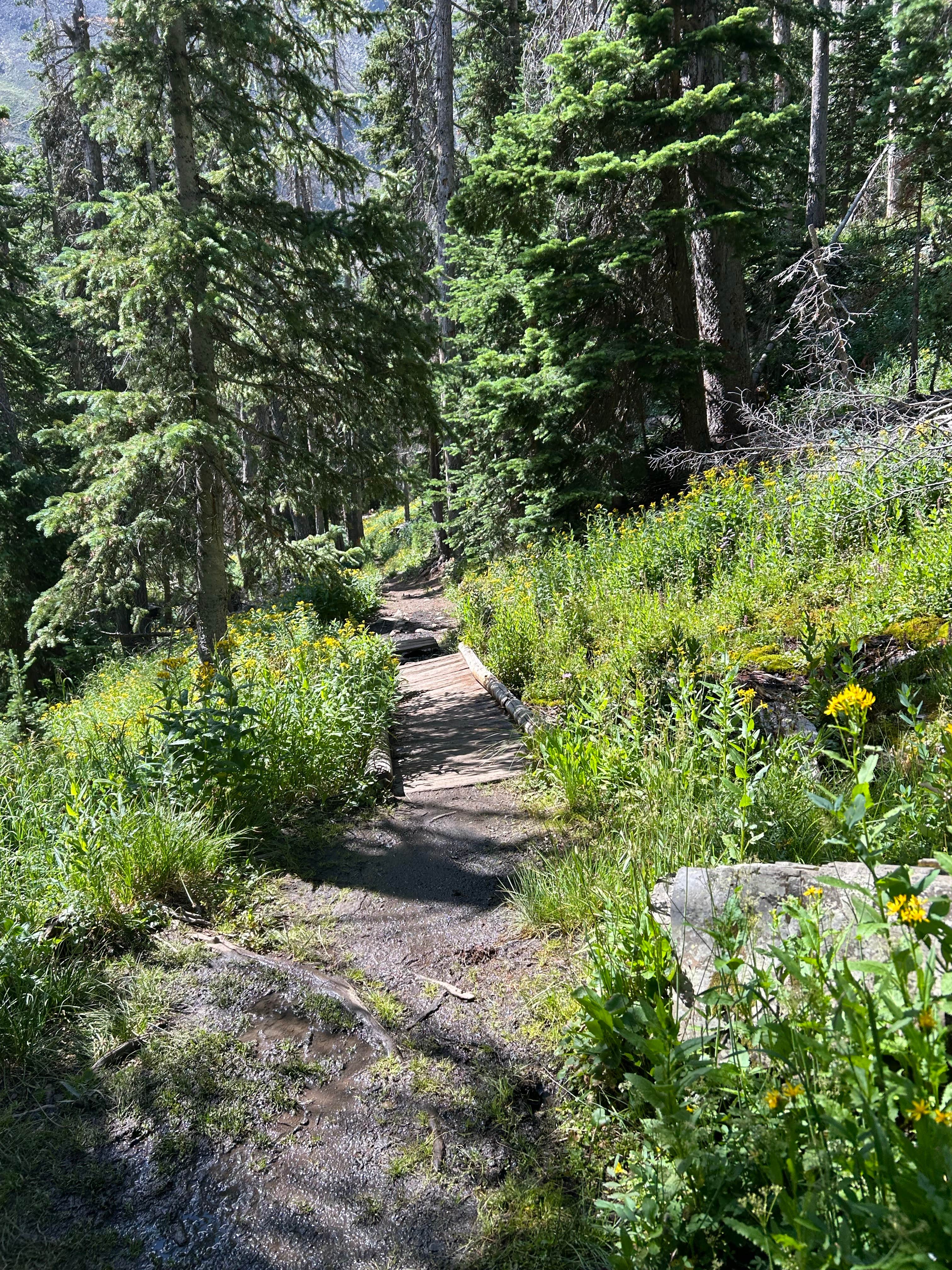 Camper submitted image from Hermit Lake - 2