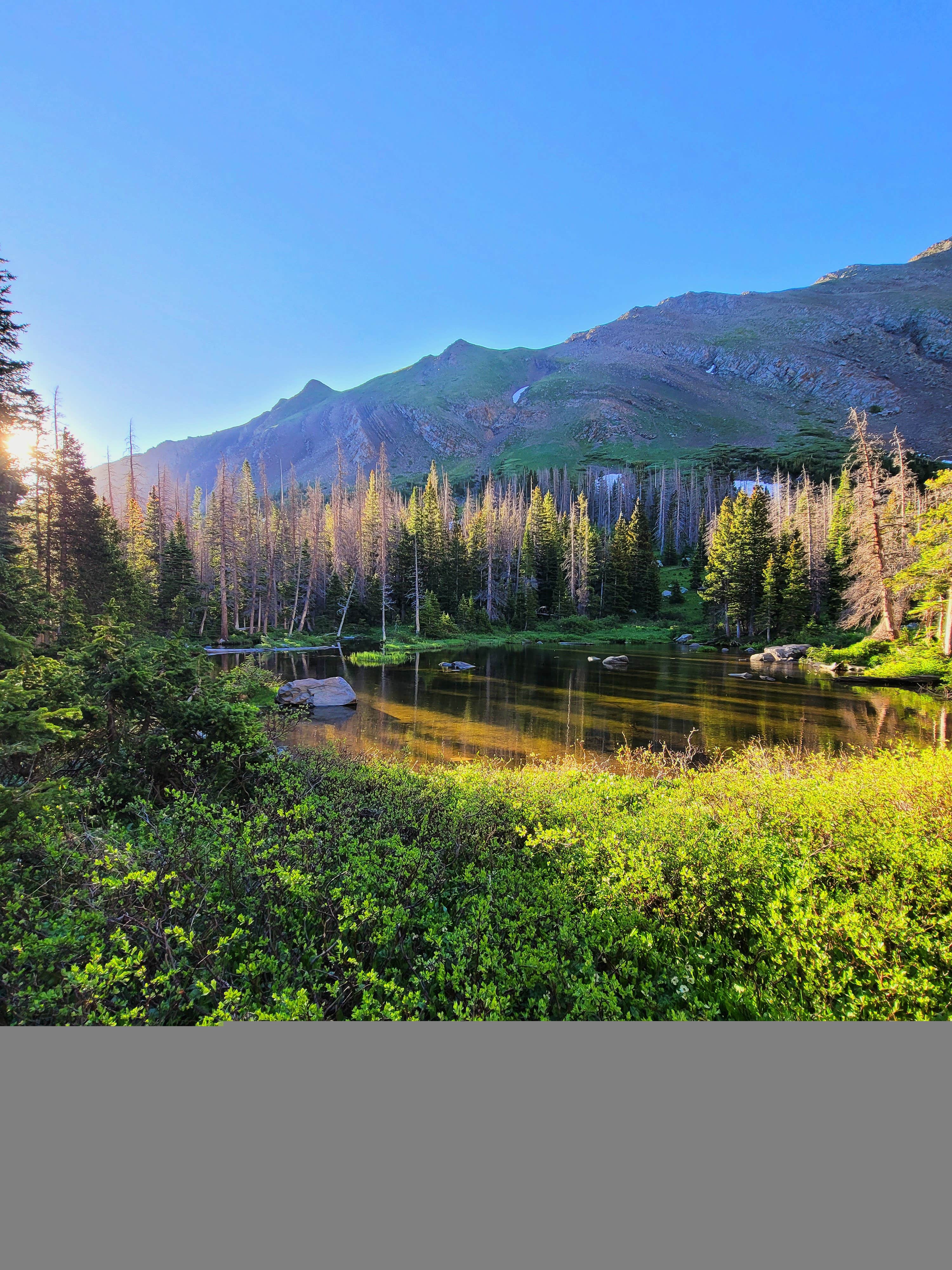 Camper submitted image from Hermit Pass OHV - 1