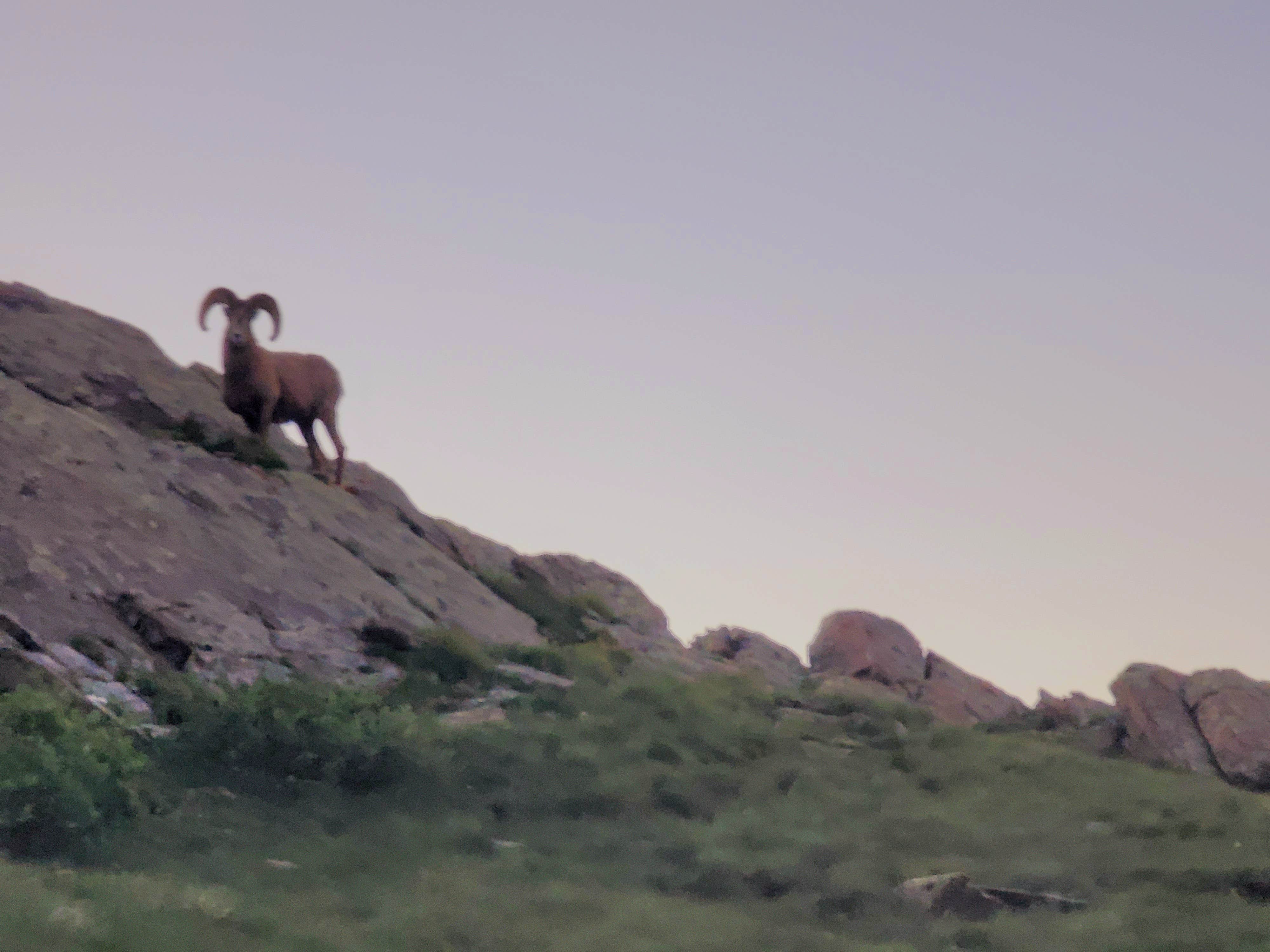 Camper-submitted photo at Hermit Pass OHV near Hillside, CO