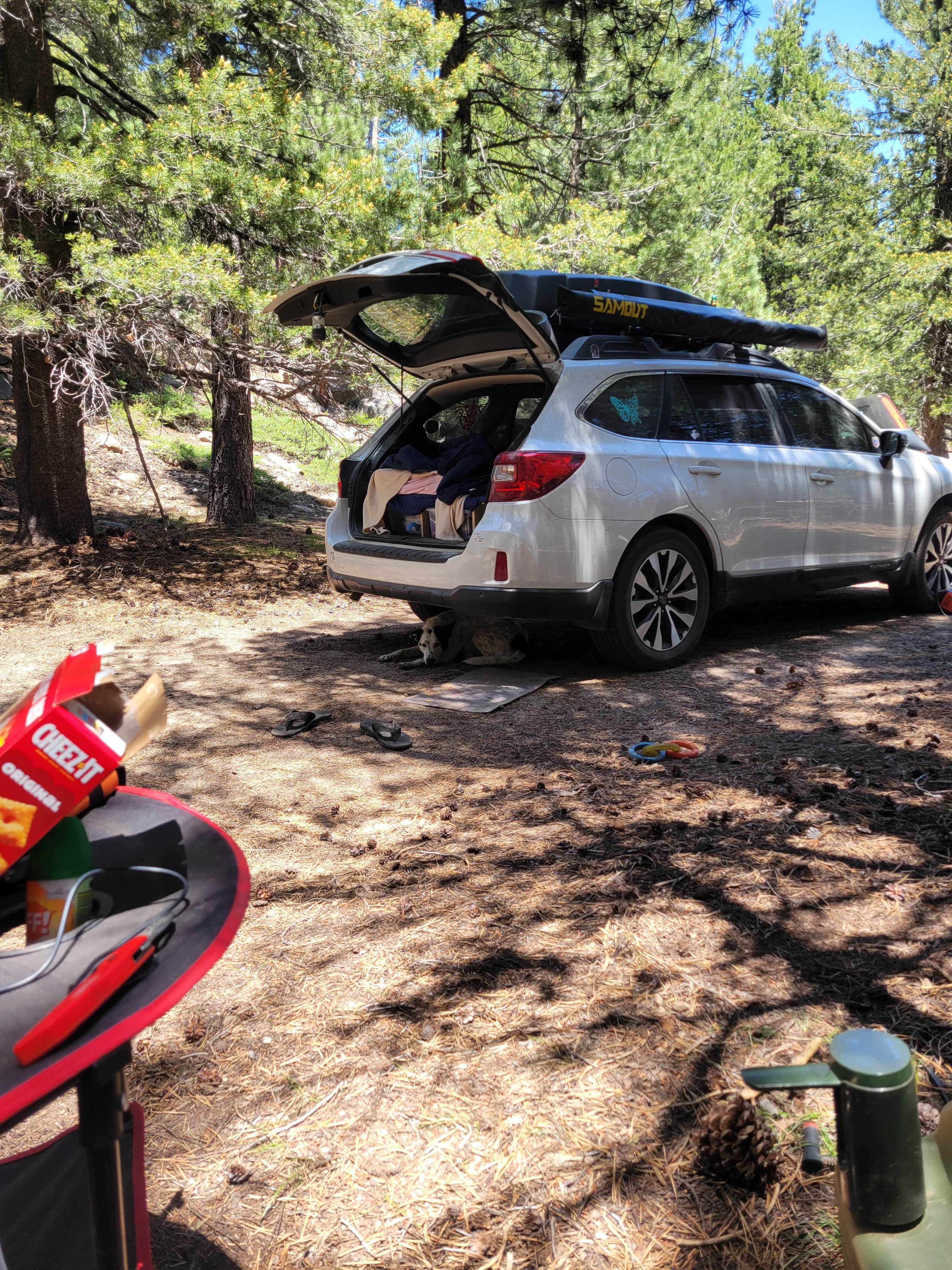 Camper submitted image from Hermit Valley Campground - 3