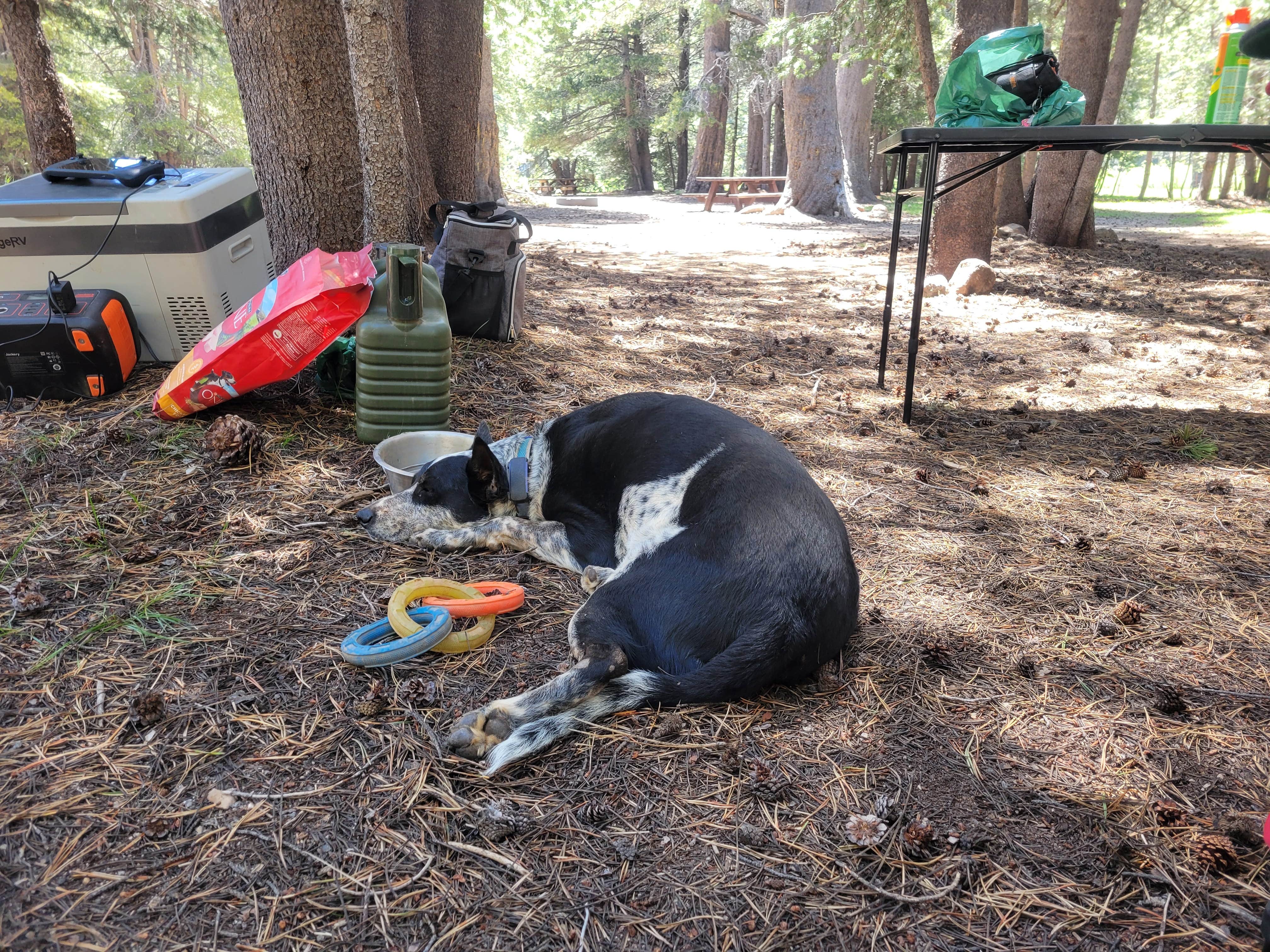 Camper submitted image from Hermit Valley Campground - 5