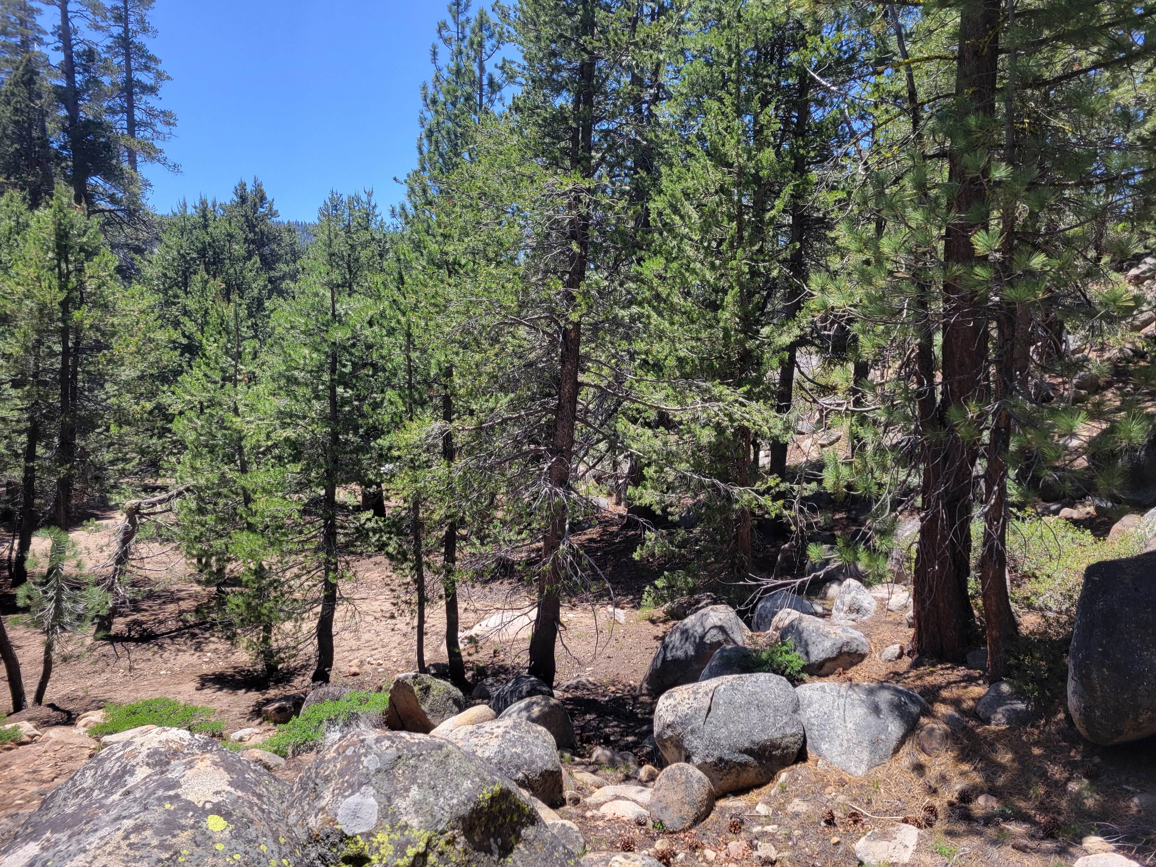 Camper submitted image from Hermit Valley Campground - 2